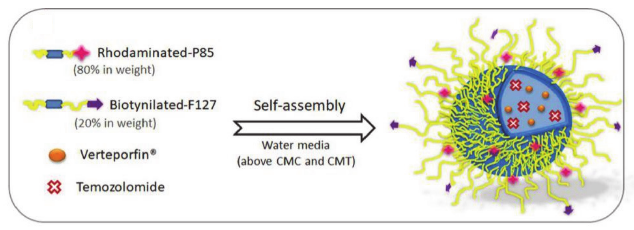 Molecules 26 03610 g014 Molecules 26 03610 g014