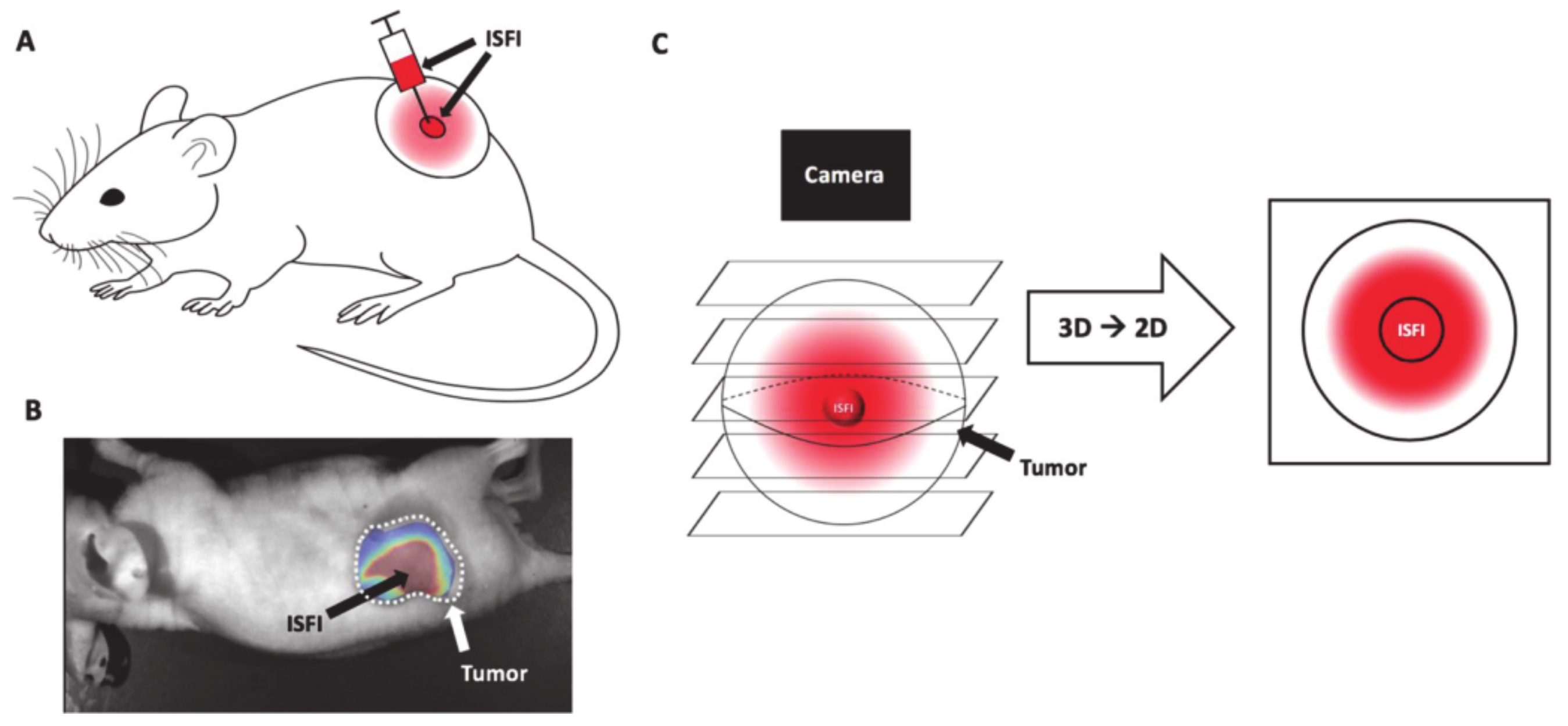 Molecules 26 03610 g015 Molecules 26 03610 g015