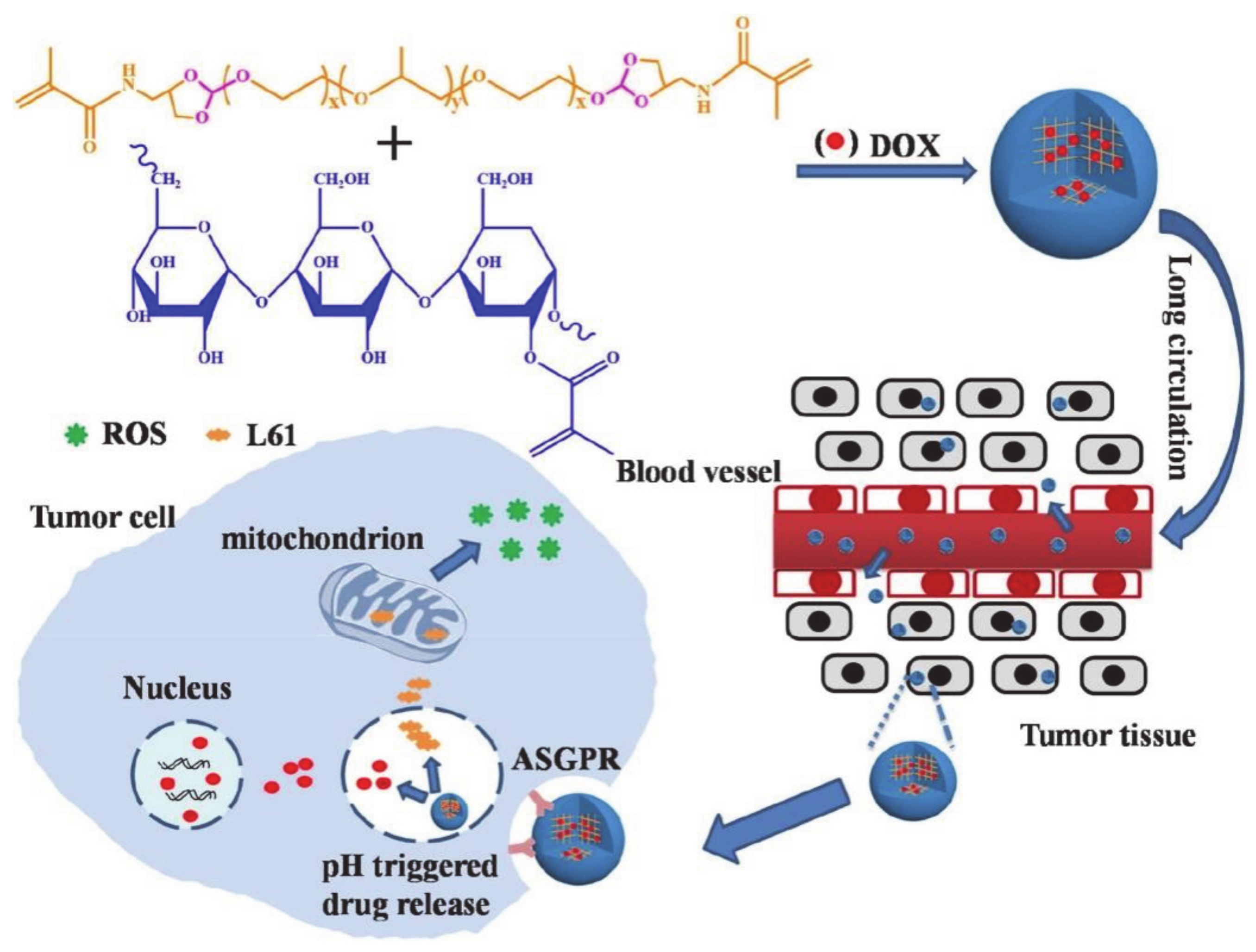 Molecules 26 03610 g016 Molecules 26 03610 g016
