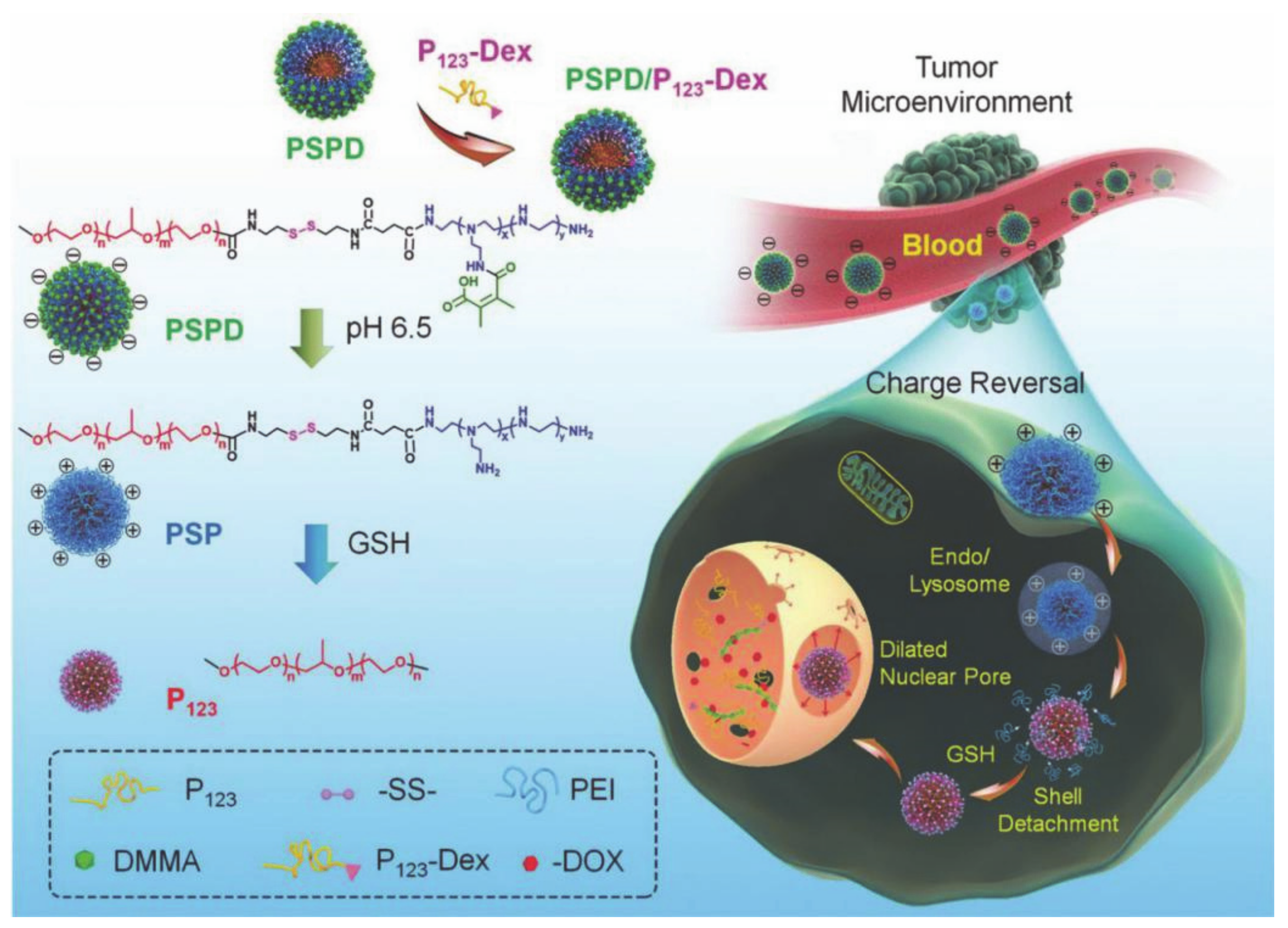 Molecules 26 03610 g018 Molecules 26 03610 g018