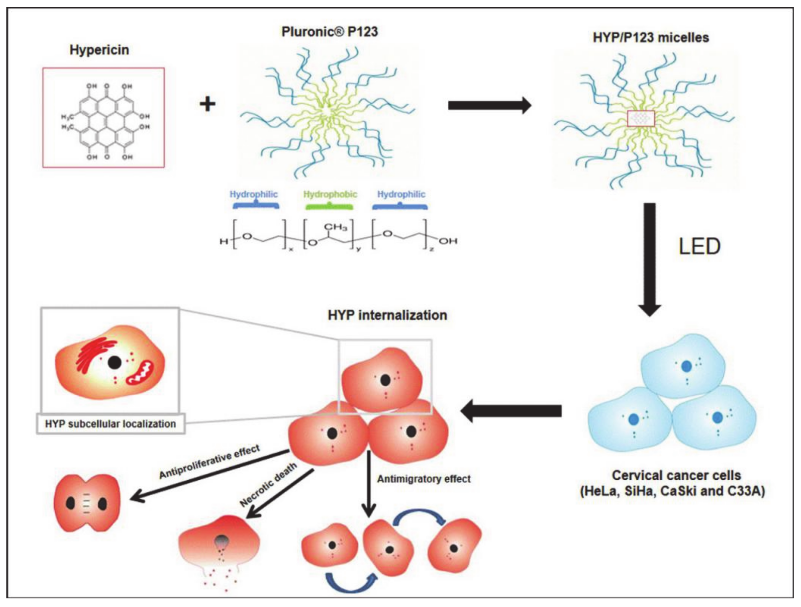 Molecules 26 03610 g021 Molecules 26 03610 g021