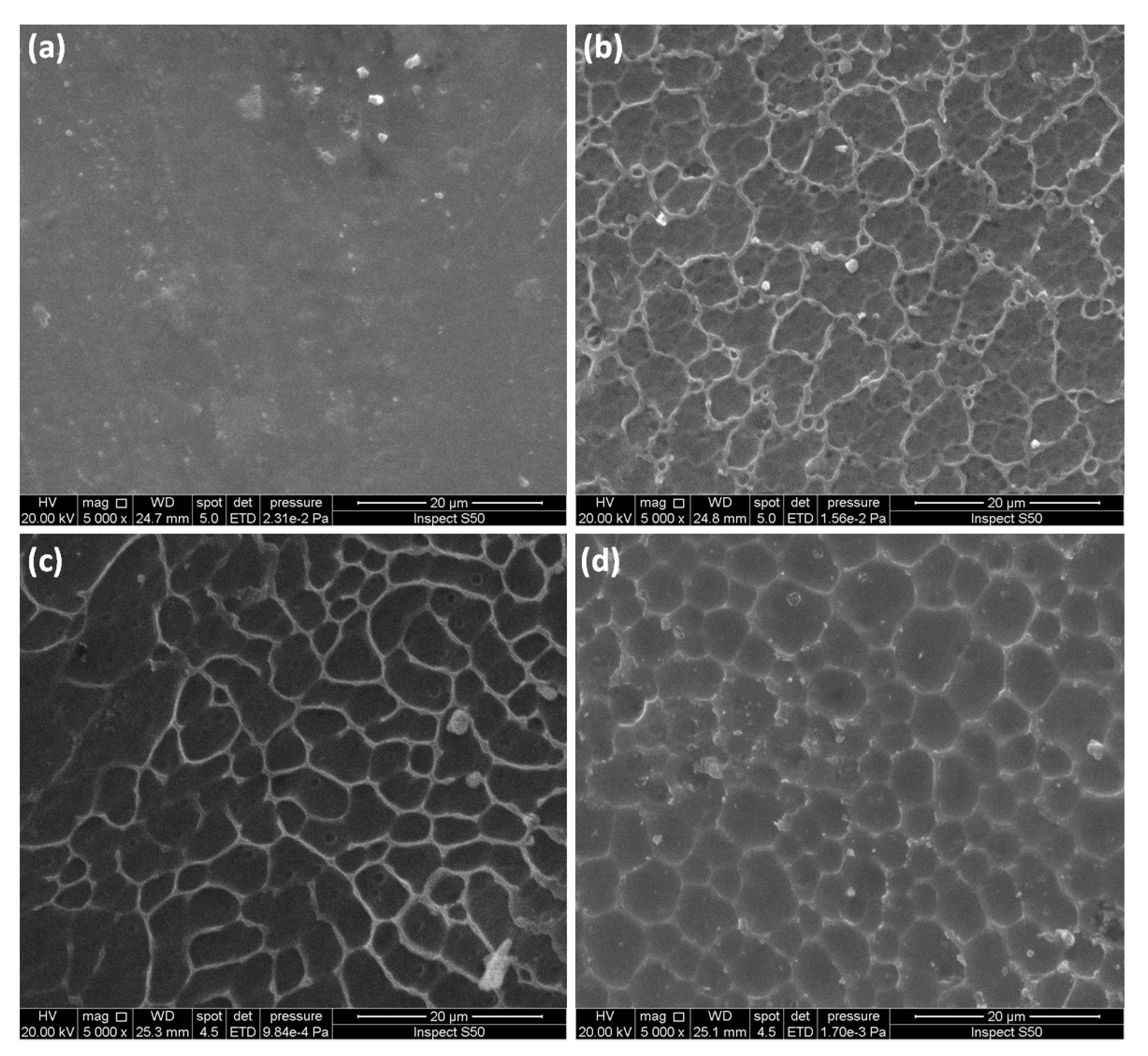 Molecules 26 03629 g009 Molecules 26 03629 g009
