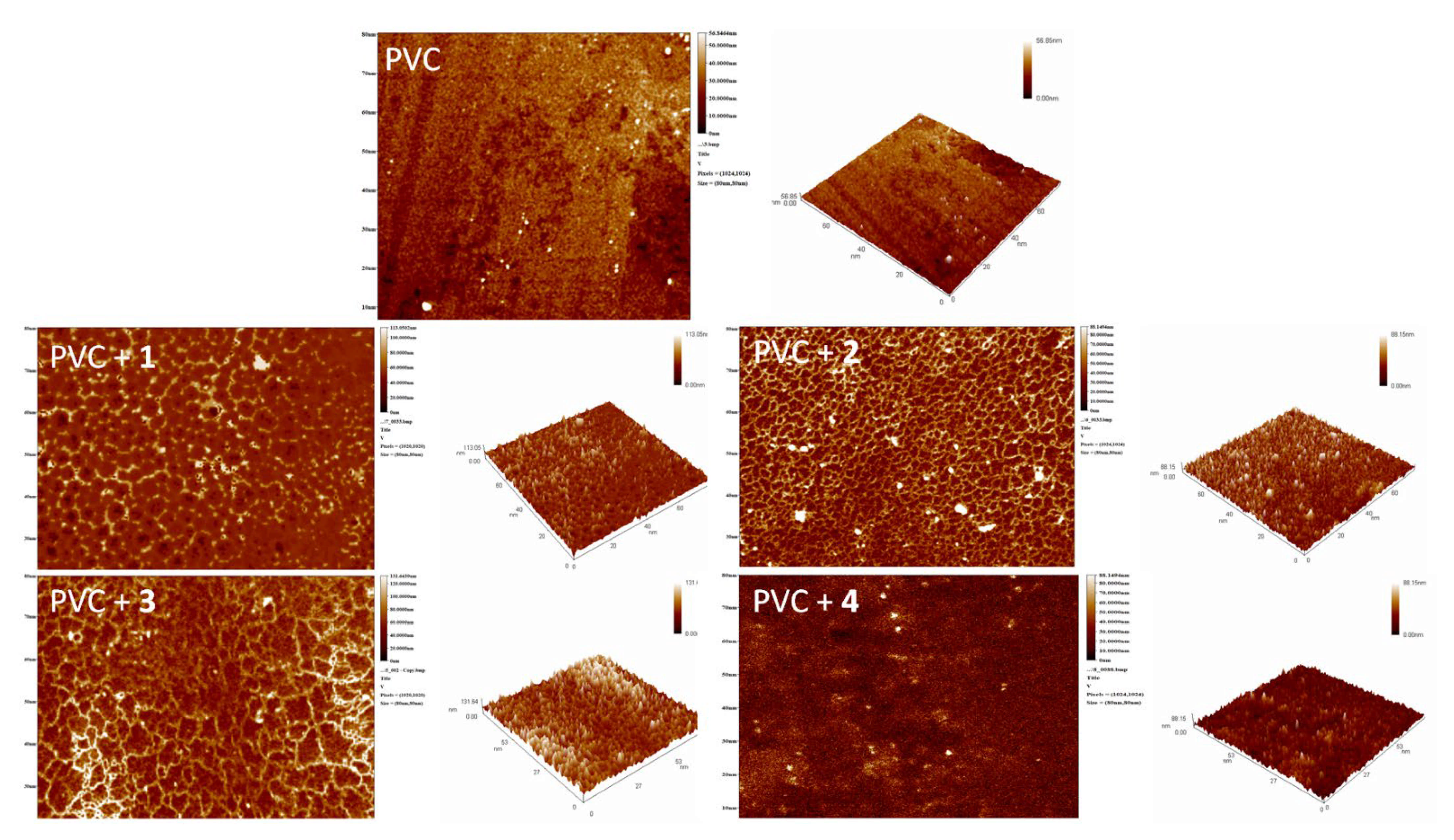 Molecules 26 03629 g011 Molecules 26 03629 g011