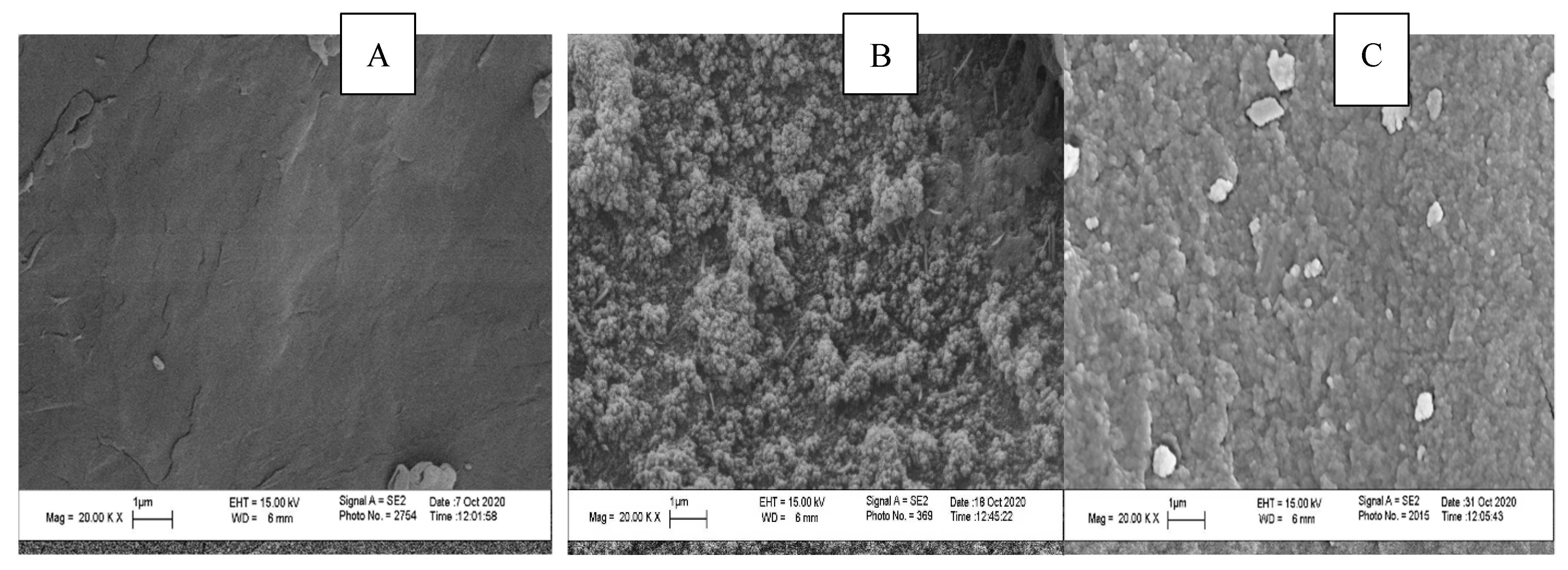 Molecules 26 03689 g003 Molecules 26 03689 g003