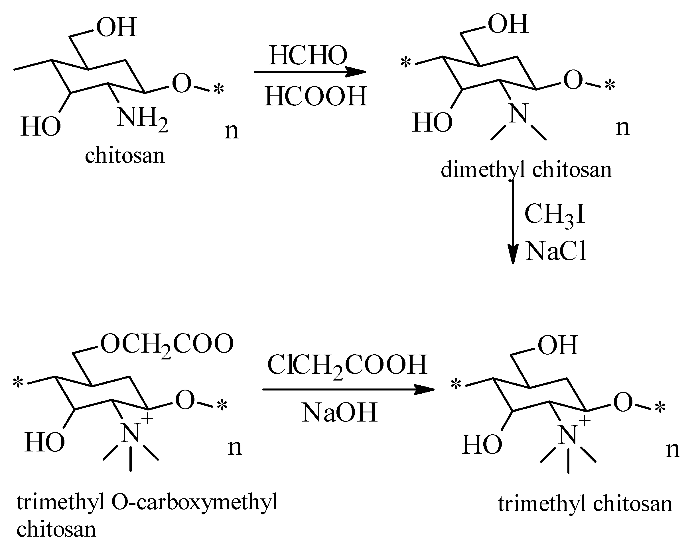 Molecules 26 03694 g002
