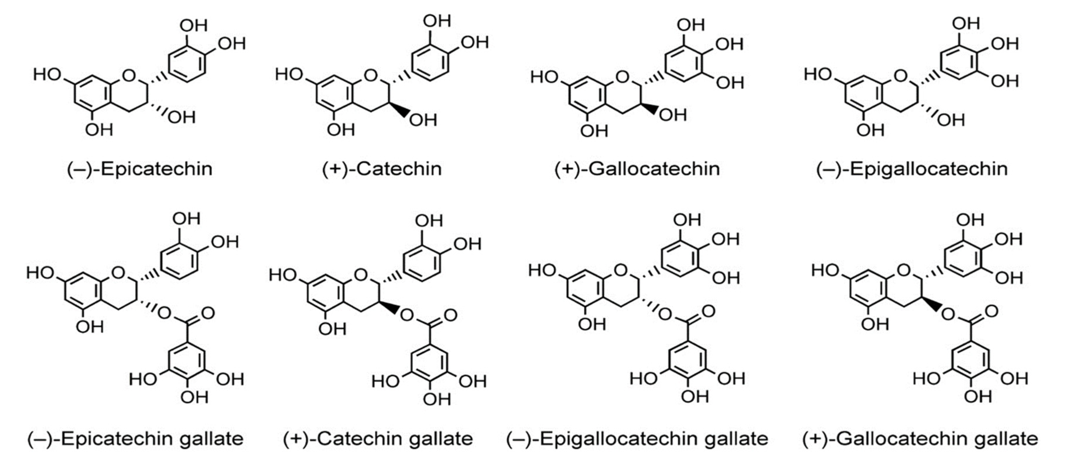 Thermo Scientific Chemicals (-)-Epigallocatechin, 95%, from green tea,  Quantity: 10 mg