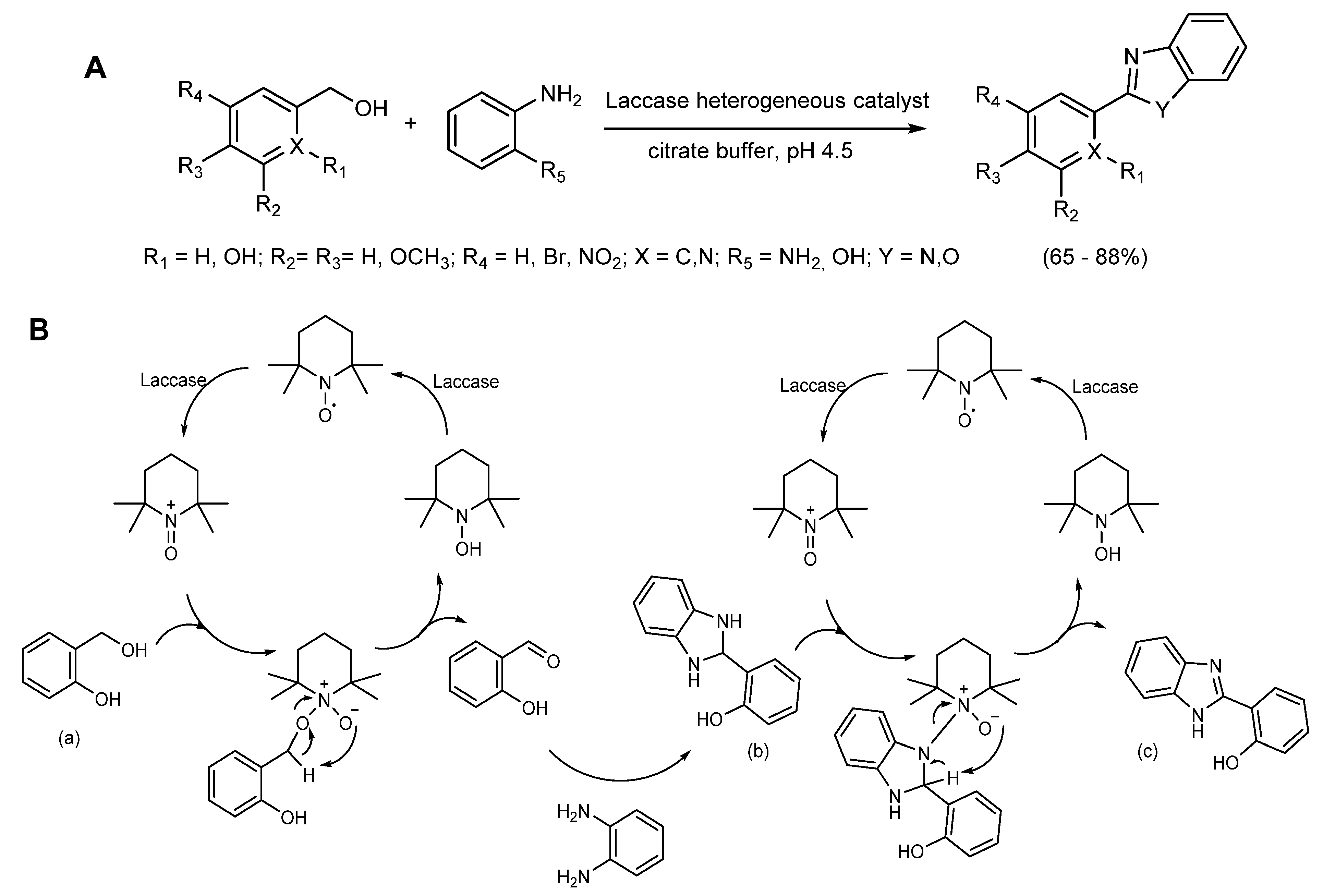 Molecules 26 03719 sch005 Molecules 26 03719 sch005