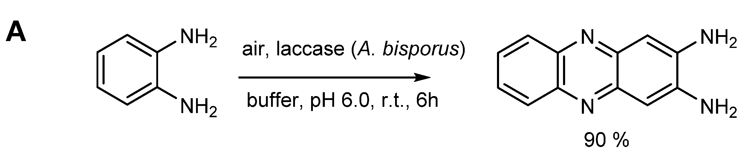 Molecules 26 03719 sch009a Molecules 26 03719 sch009a