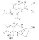 Molecules 26 03769 i005