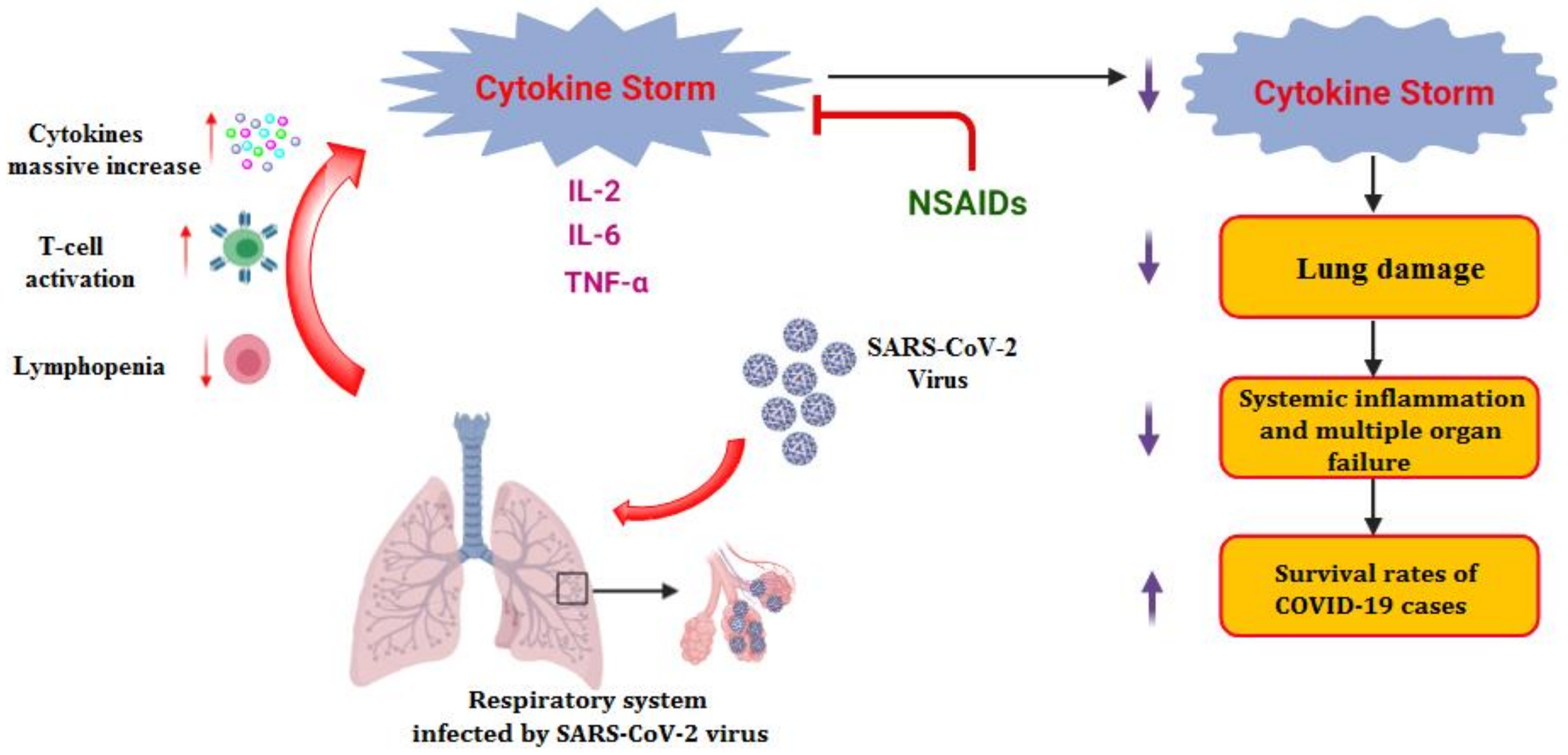 Molecules 26 03772 g001