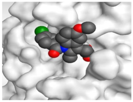 Molecules 26 03772 i004