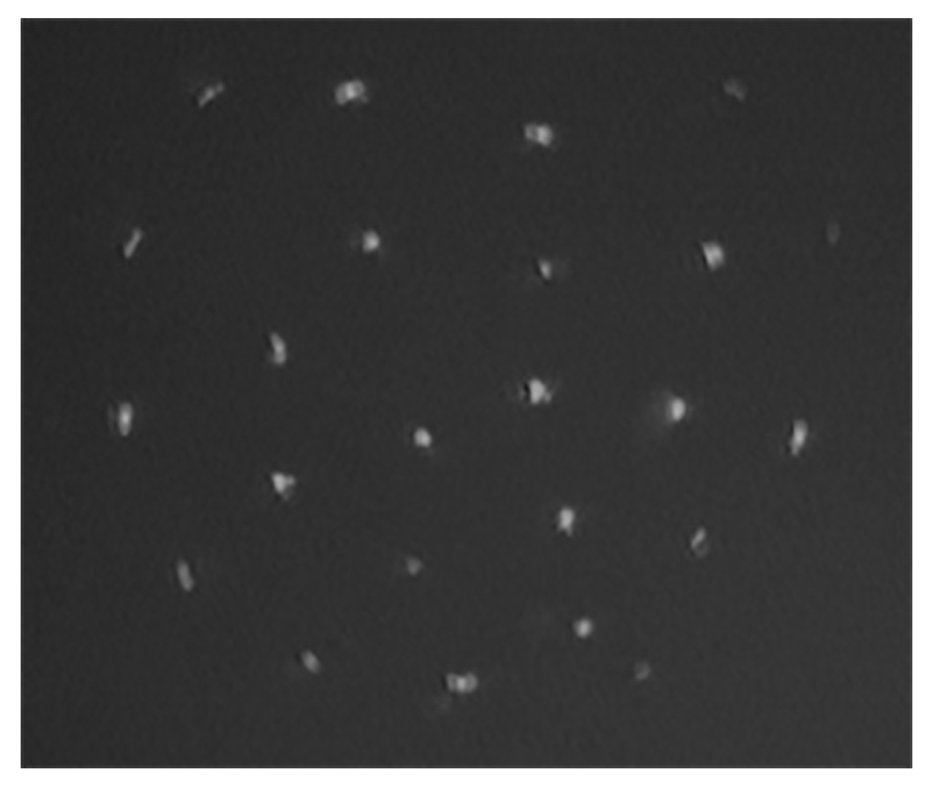 Molecules 26 03788 g003
