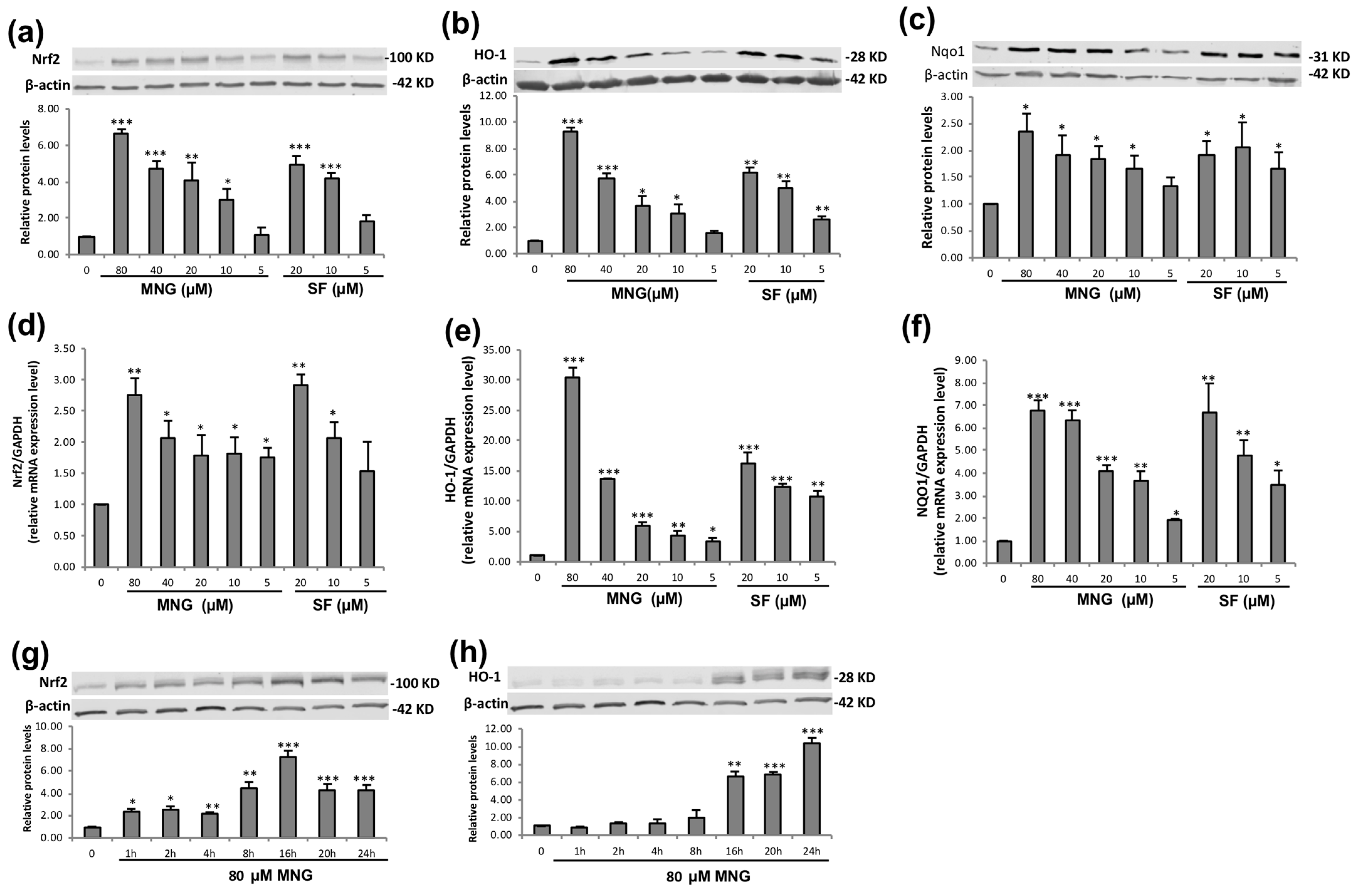 Molecules 26 03852 g003