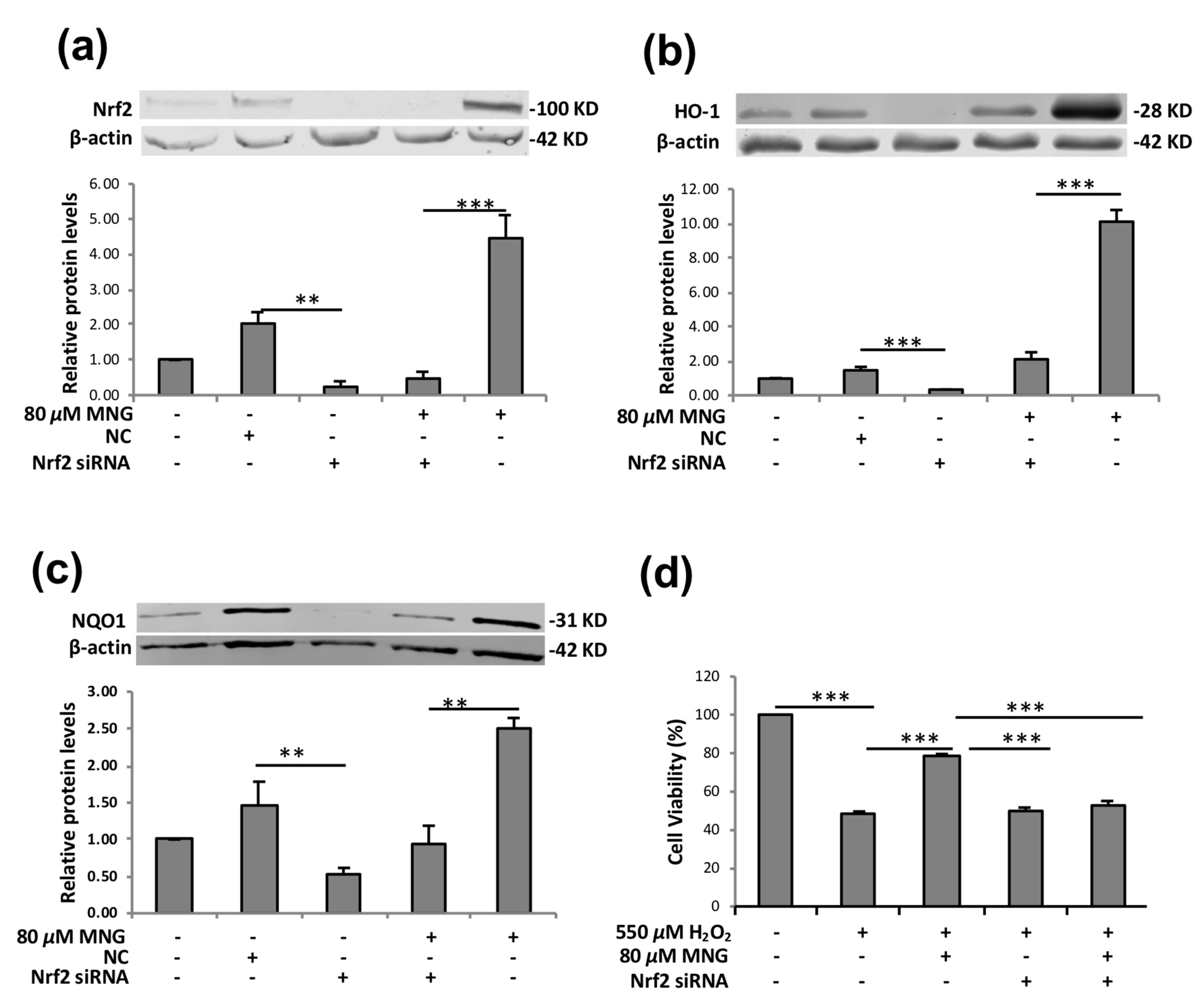 Molecules 26 03852 g007
