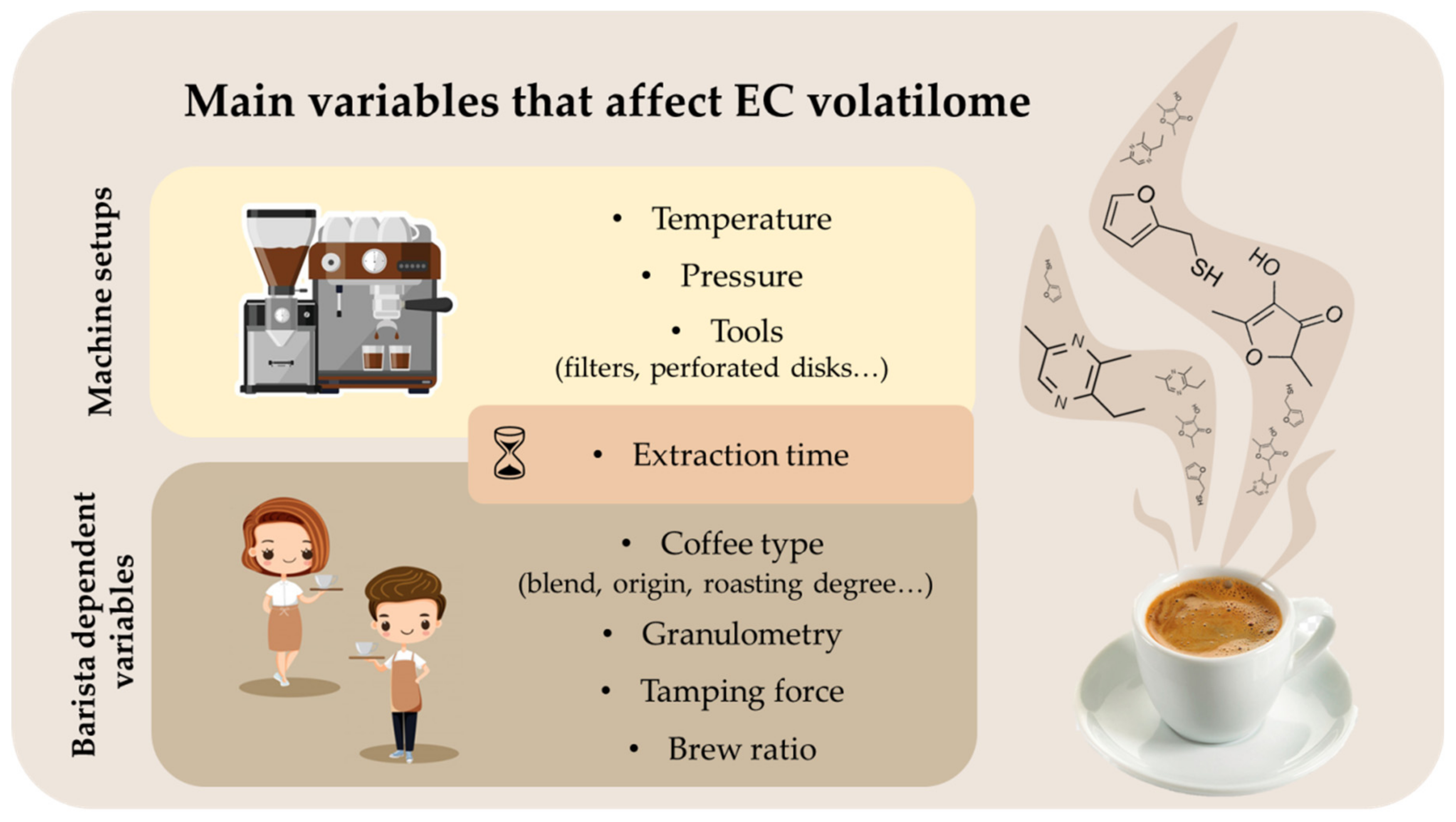 Molecules | Free Full-Text | Characterization of the Aroma Profile and Main  Key Odorants of Espresso Coffee