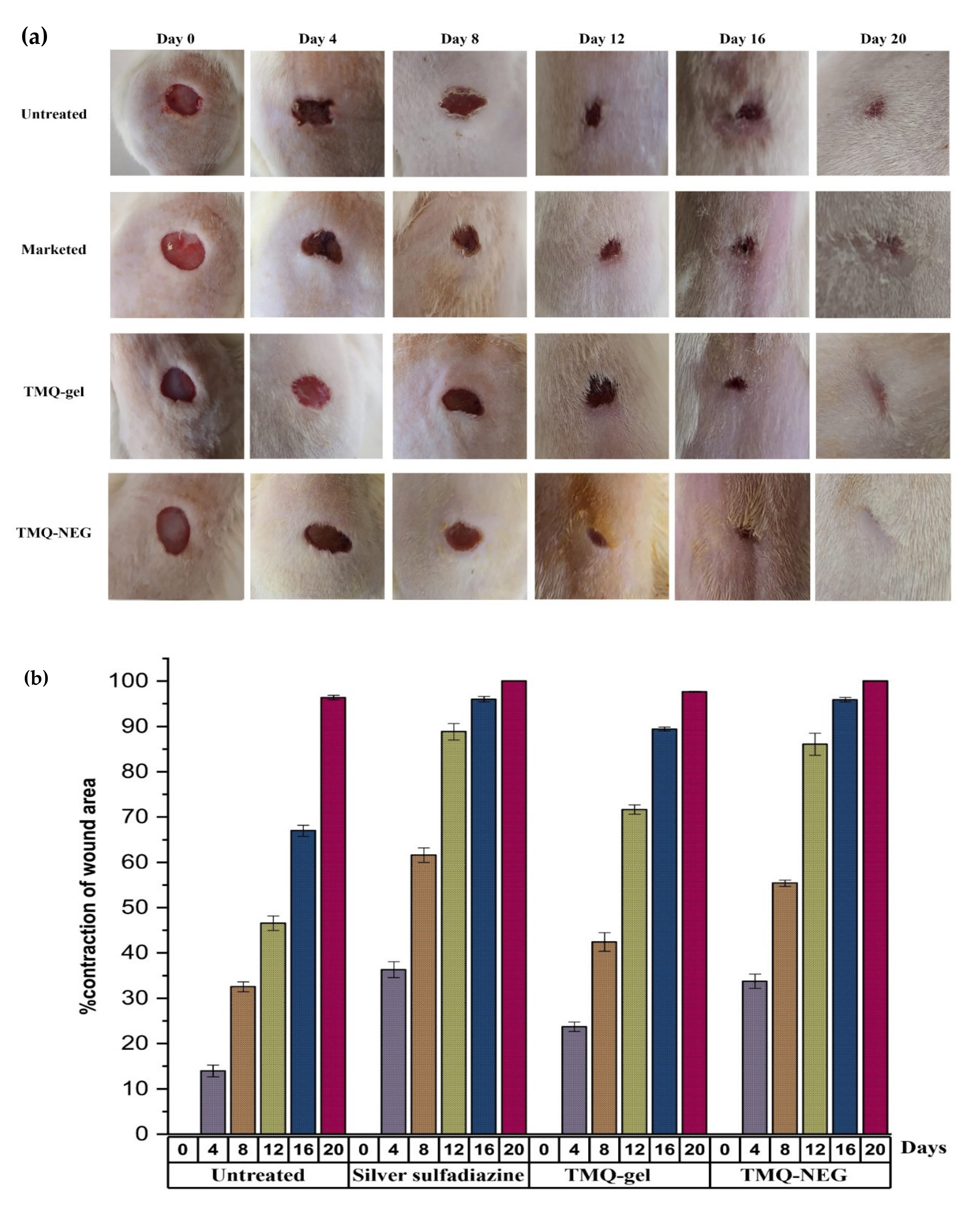 Molecules 26 03863 g005