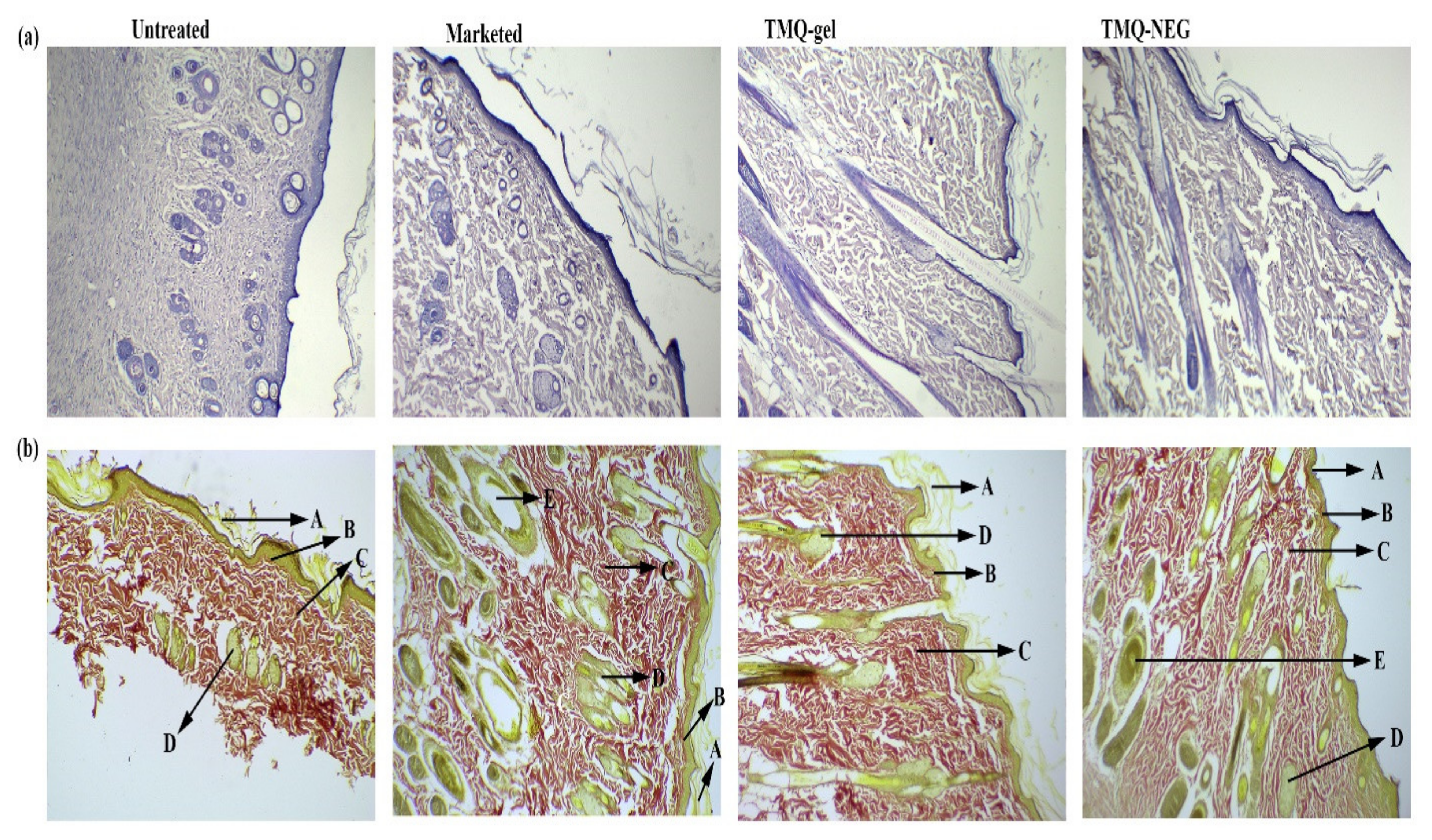 Molecules 26 03863 g006
