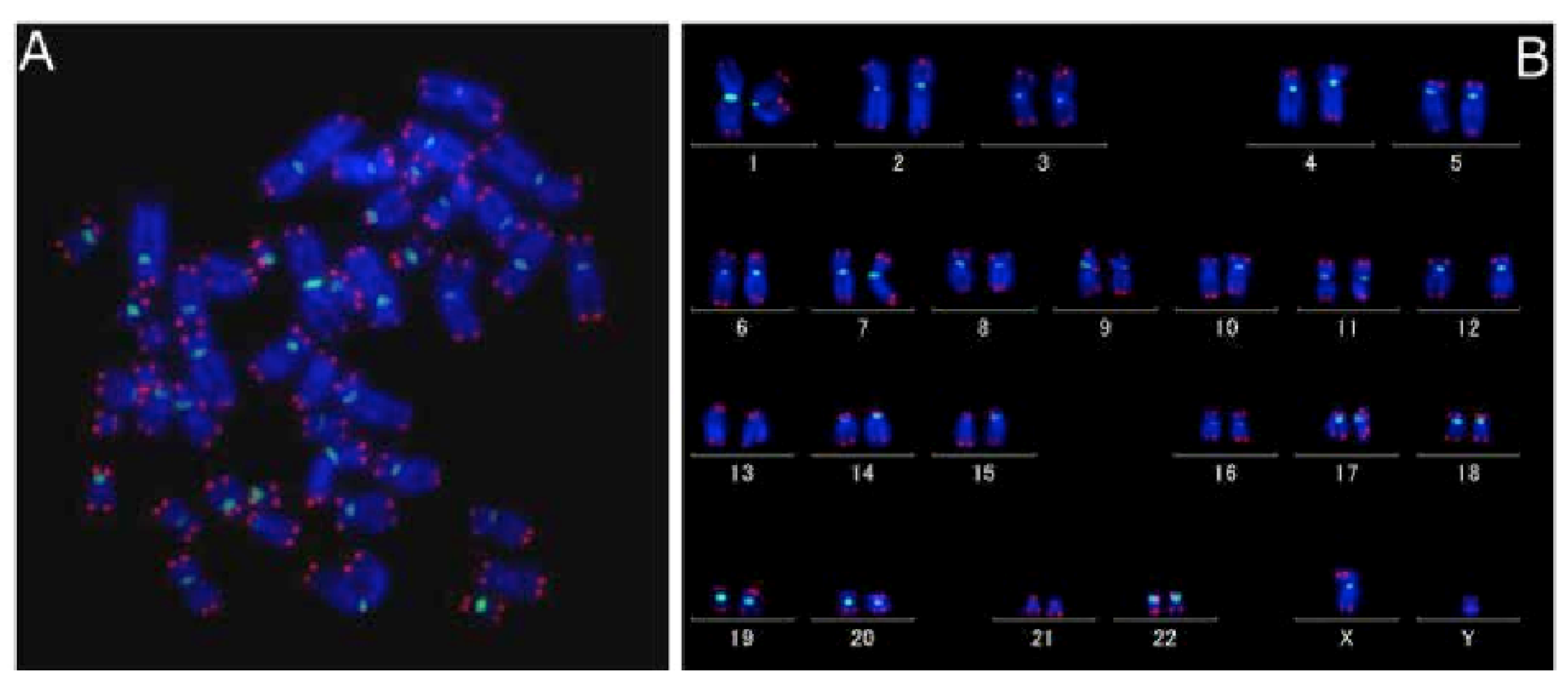 Molecules 26 03874 g008 Molecules 26 03874 g008
