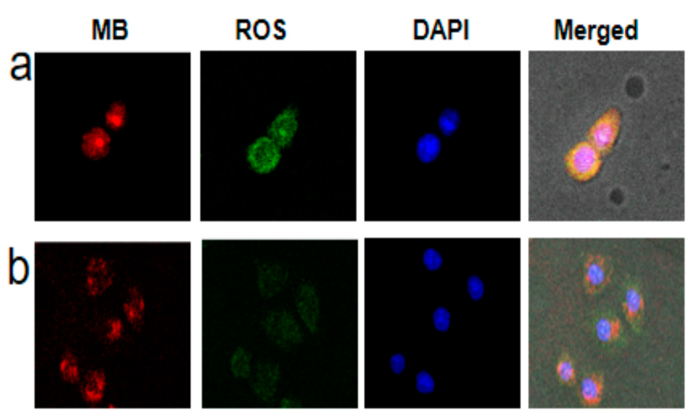 Molecules 26 03878 g003