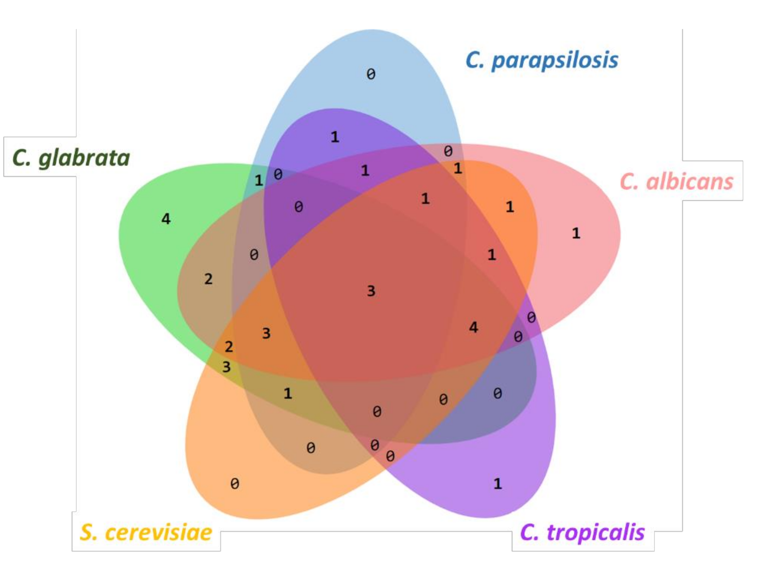 Molecules 26 03881 g003