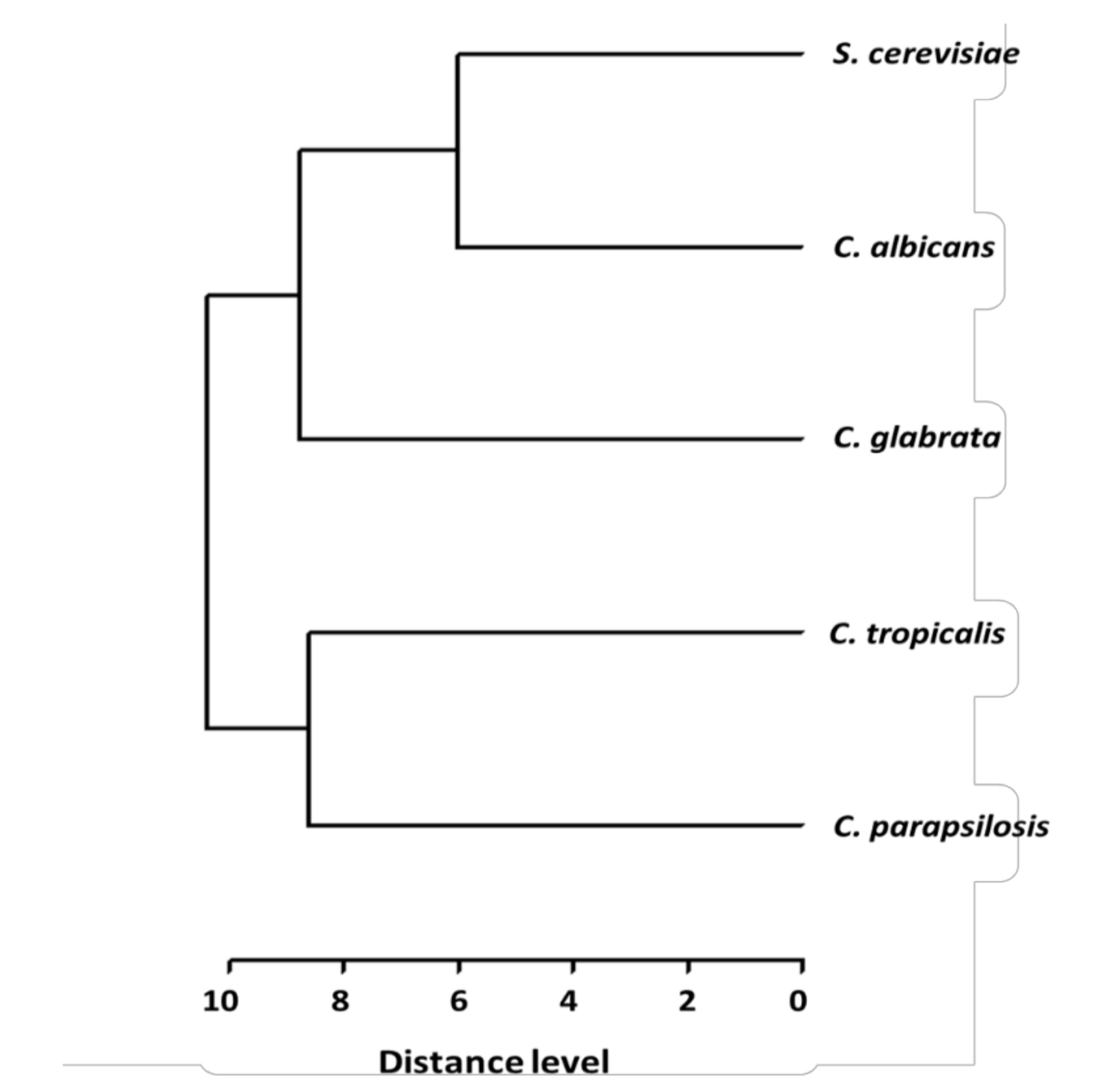 Molecules 26 03881 g004