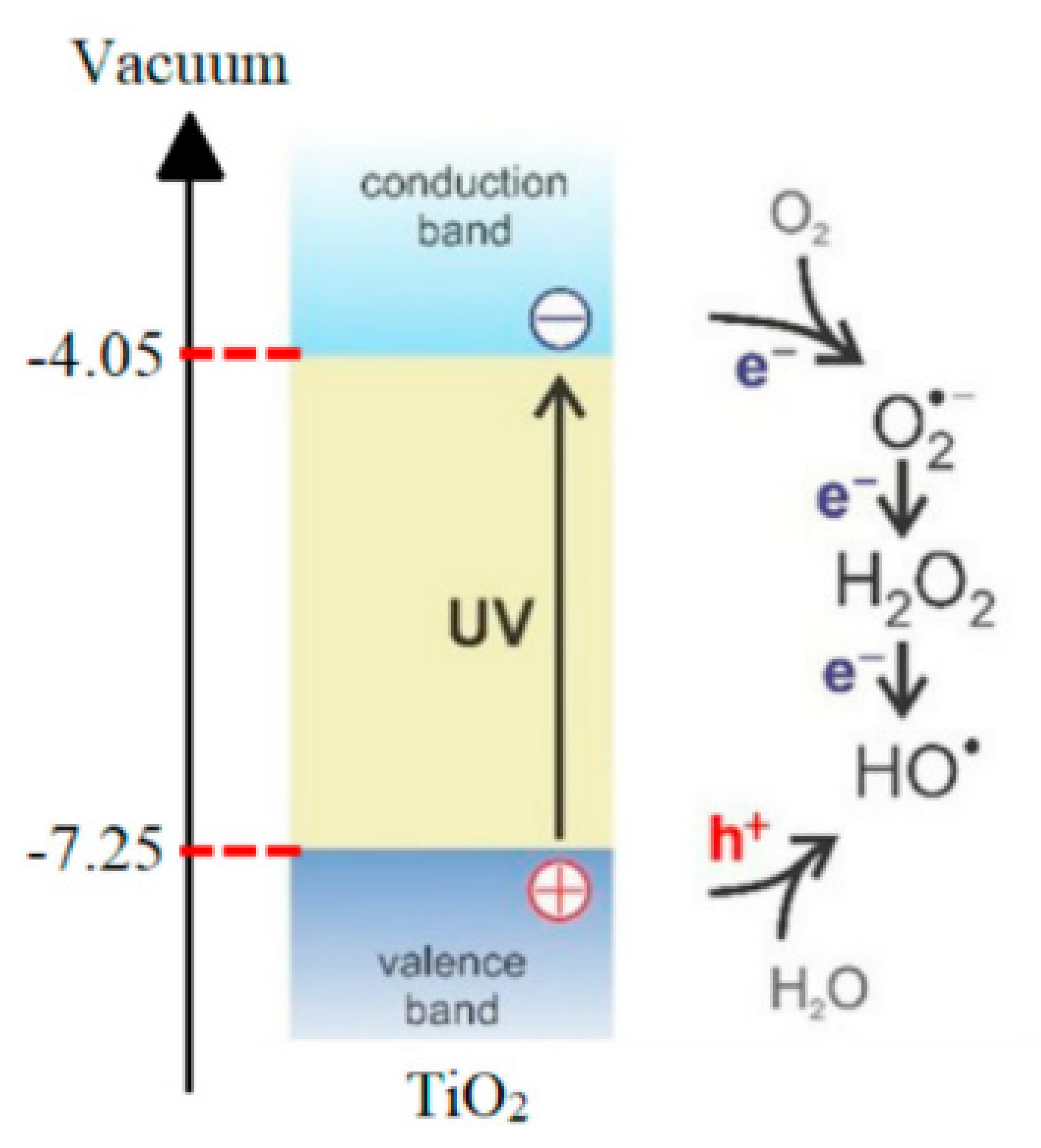 Molecules 26 03945 g002