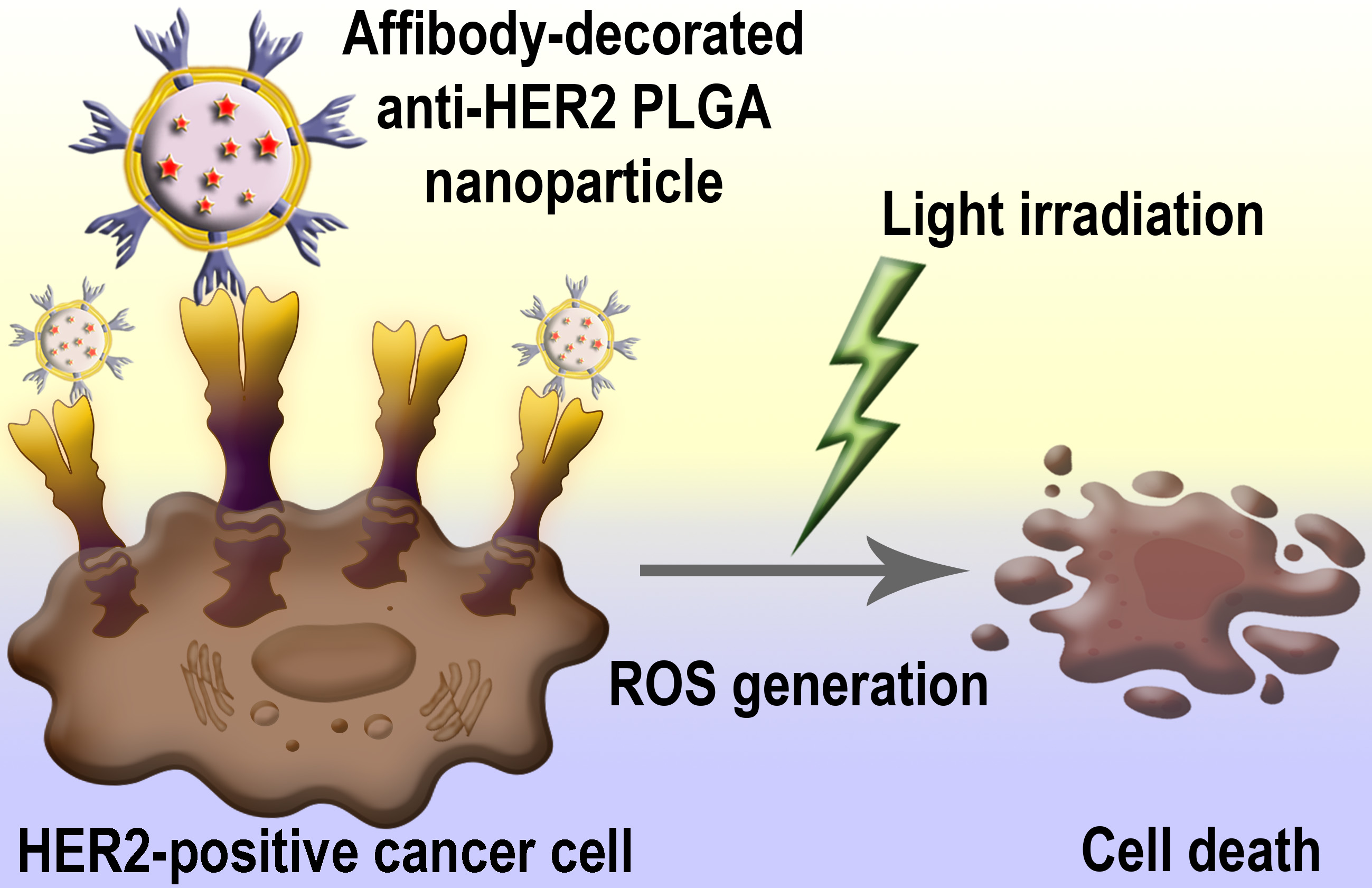 photosensitive protein scaffold