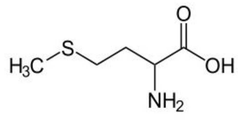 Molecules 26 03972 g002