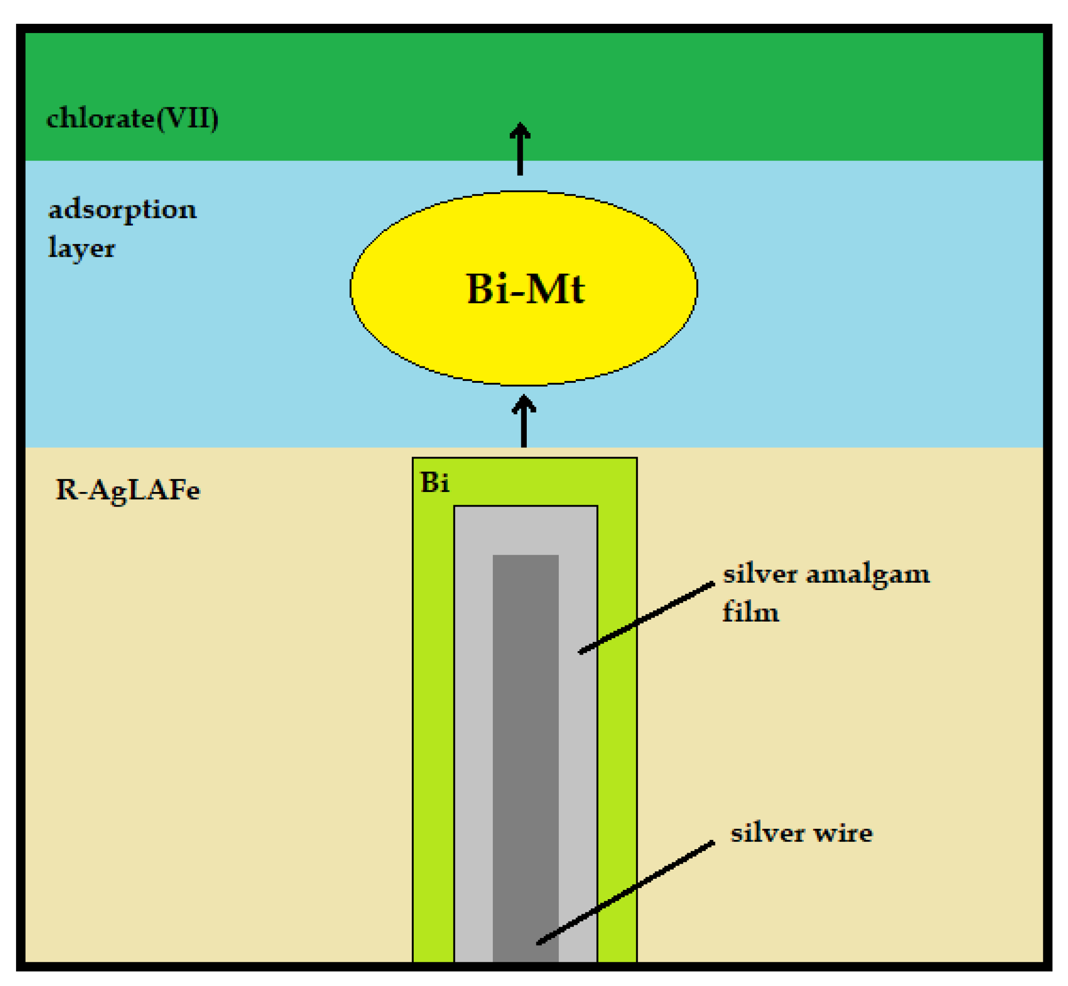 Molecules 26 03972 g007