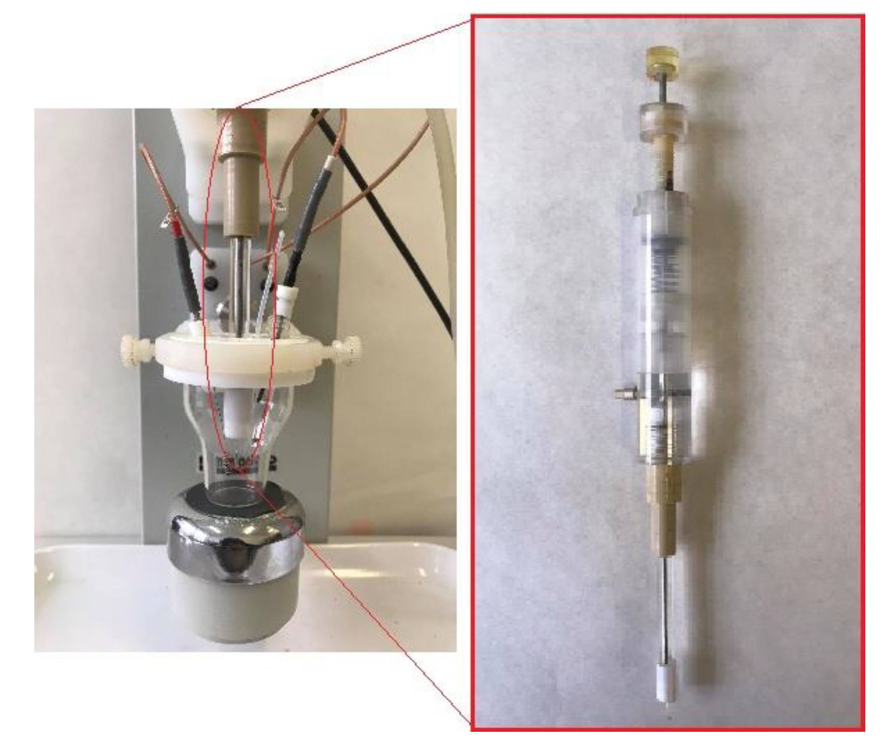 Molecules 26 03972 g010