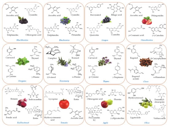 Molecules | Free Full-Text | Encapsulation of Bioactive Phytochemicals ...