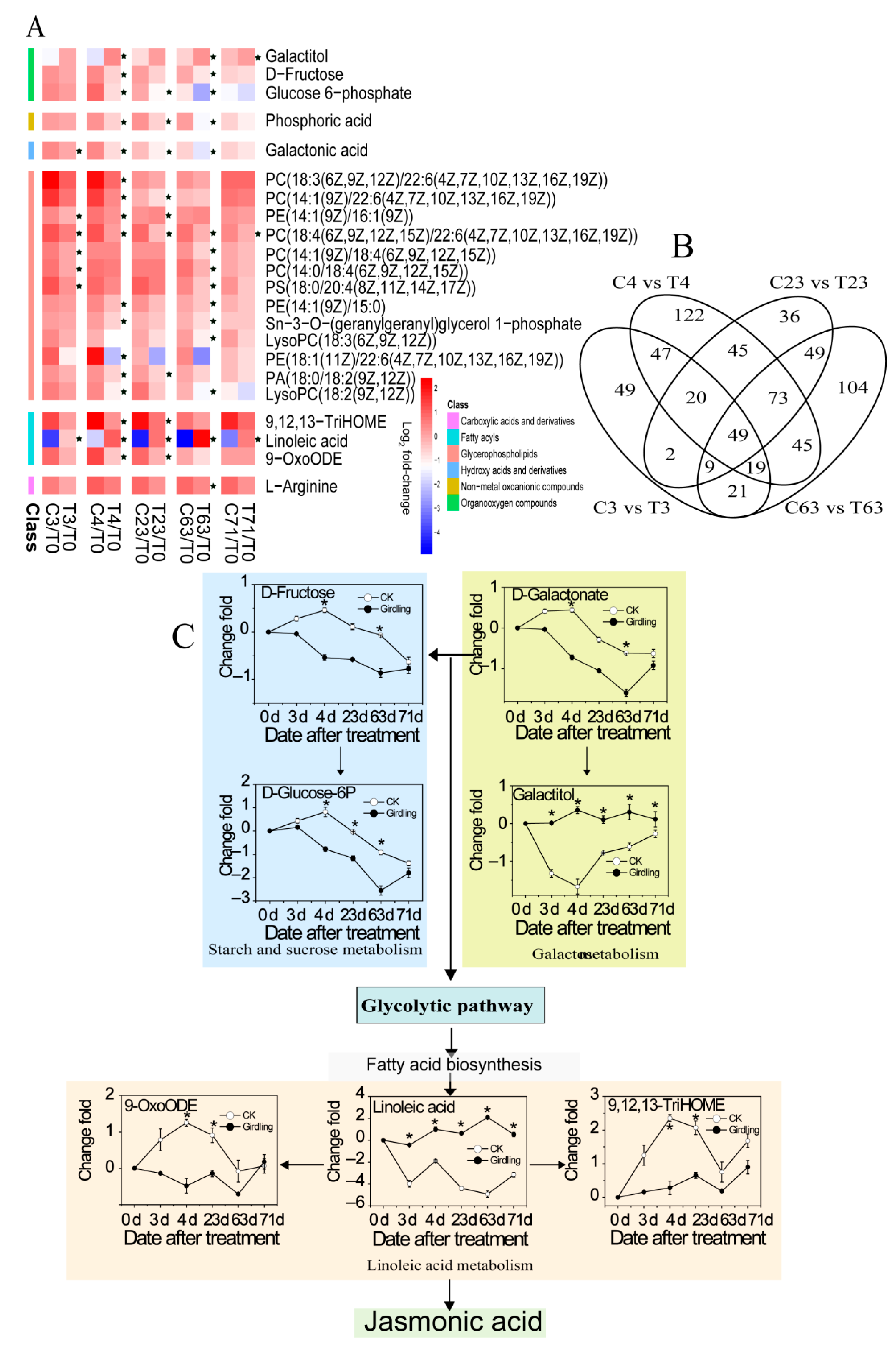 Molecules 26 04048 g007