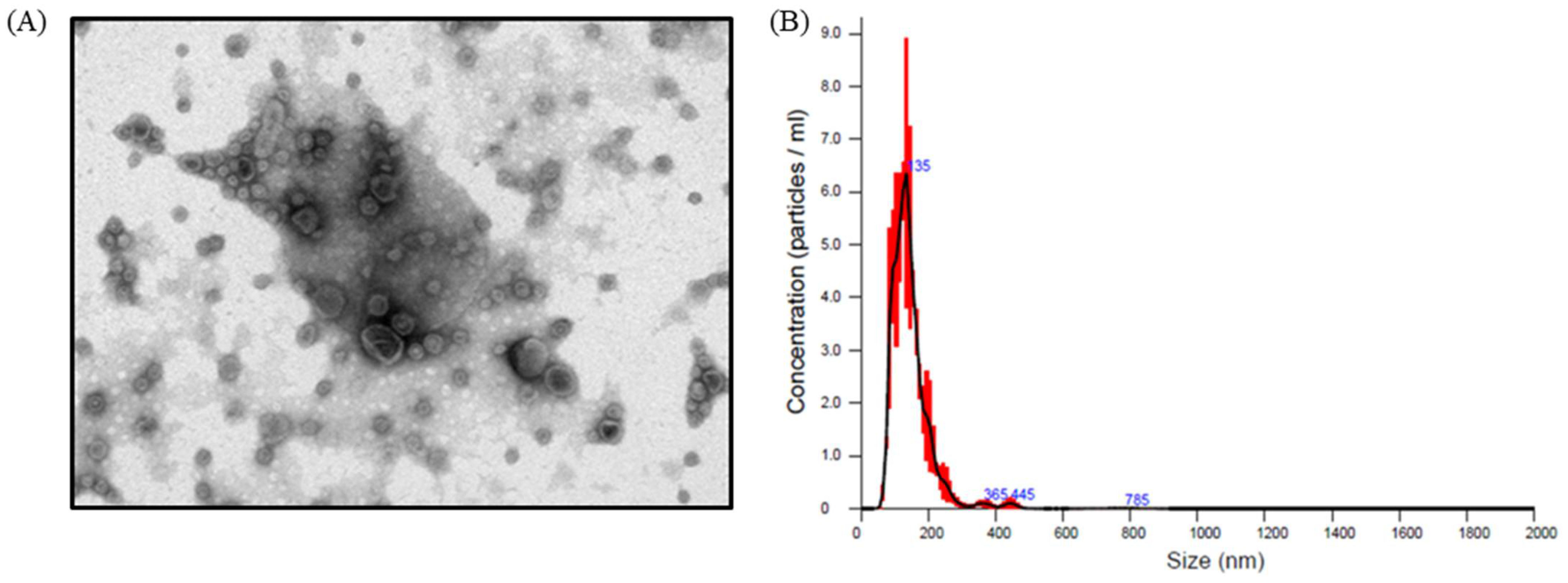 Molecules 26 04081 g005
