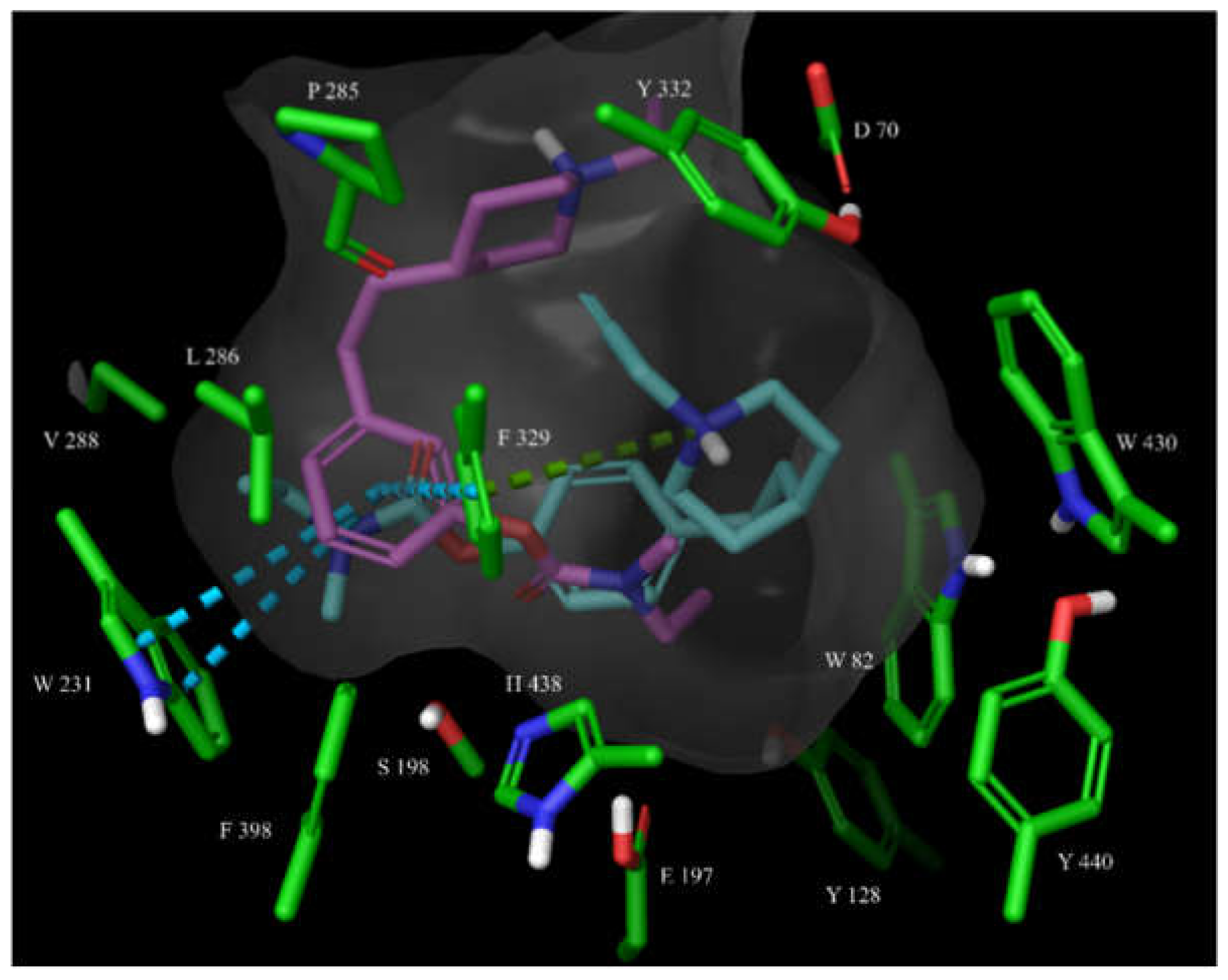 Molecules 26 04118 g008