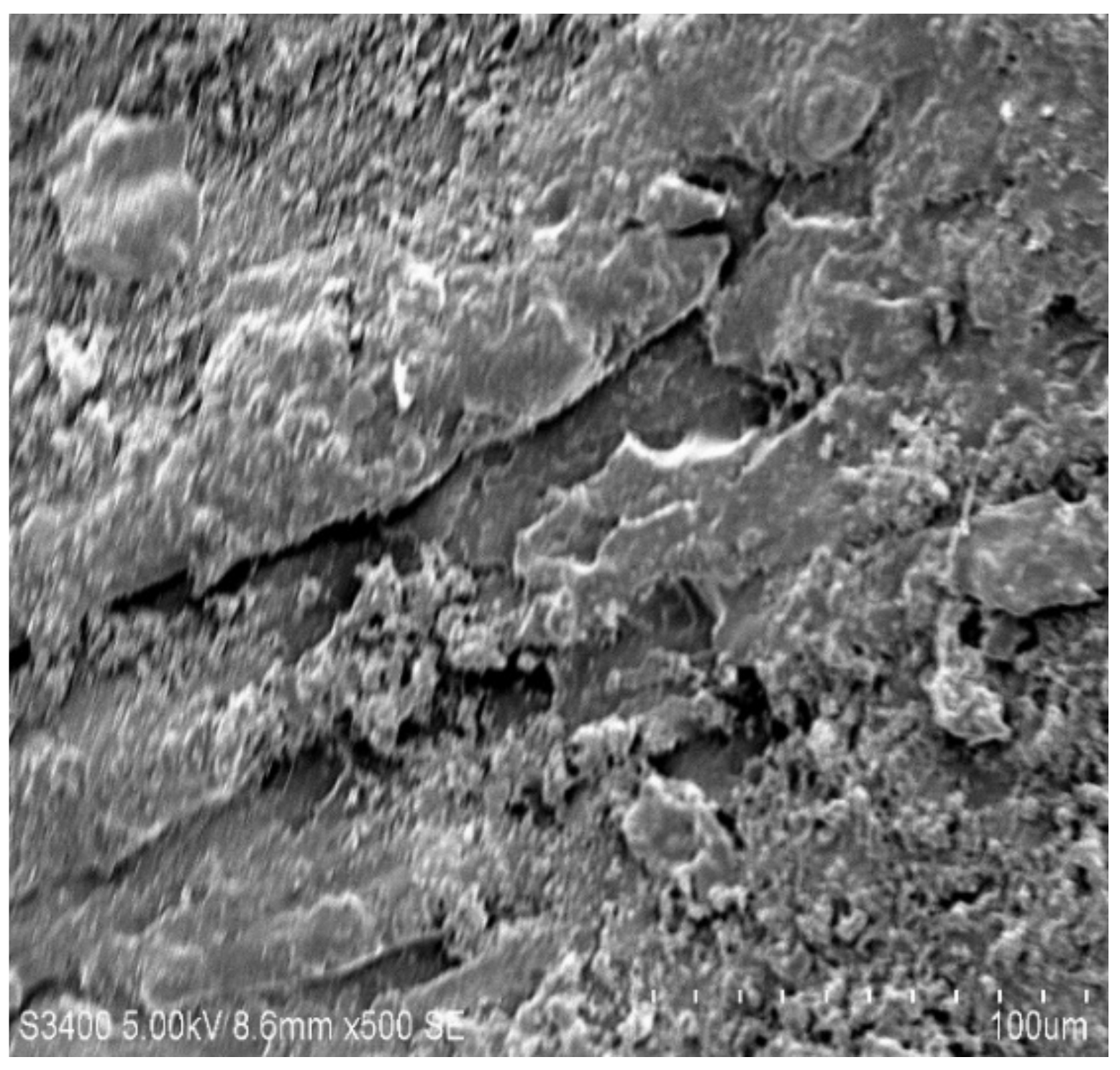 Molecules 26 04135 g007