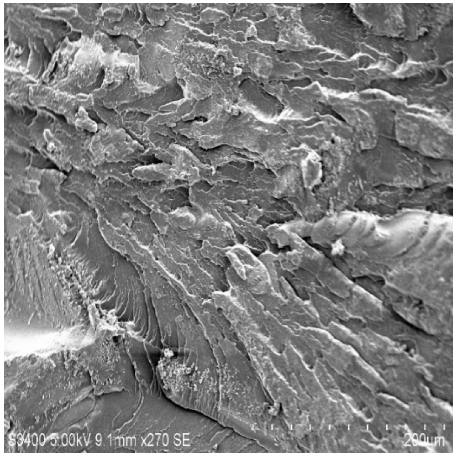 Molecules 26 04135 g008