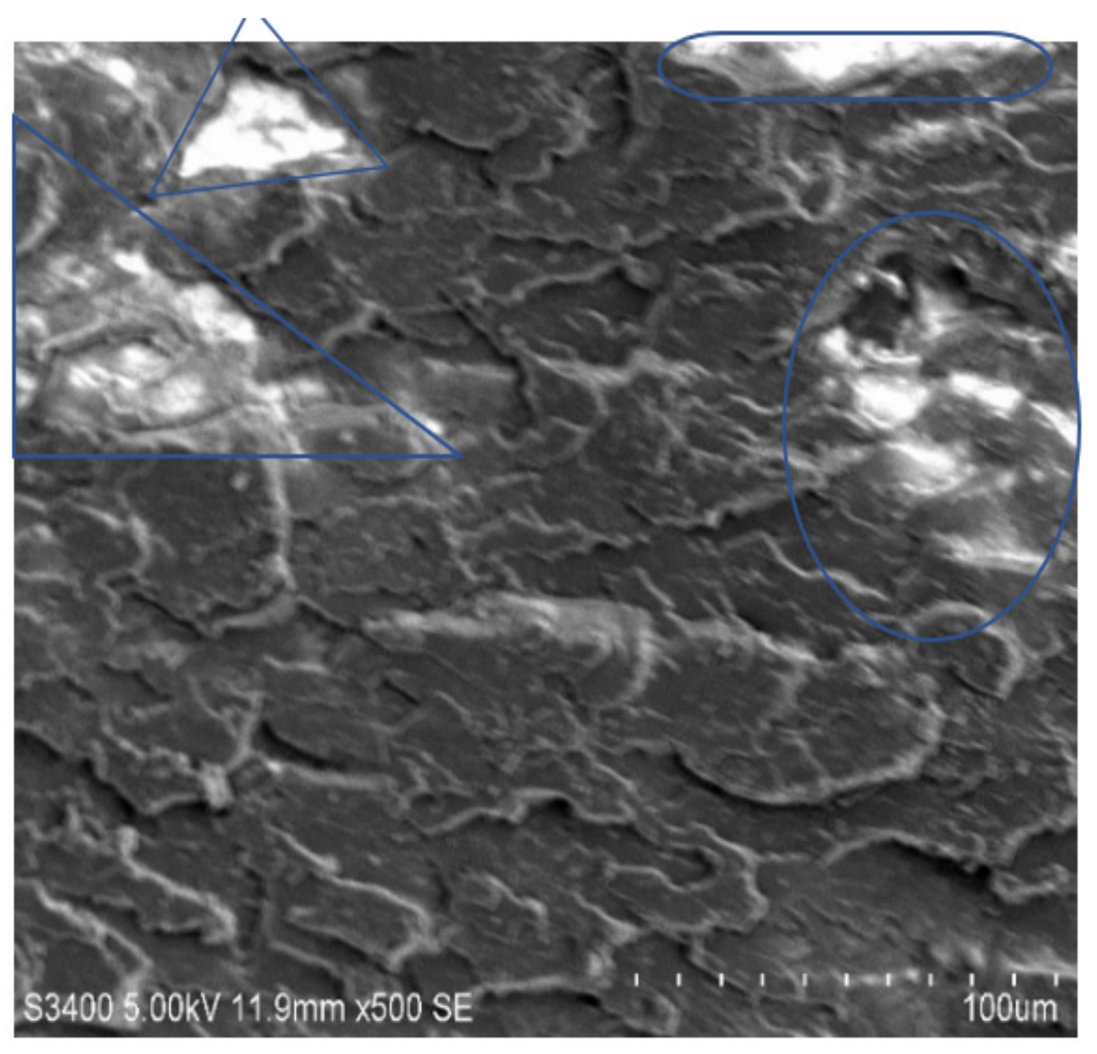 Molecules 26 04135 g009