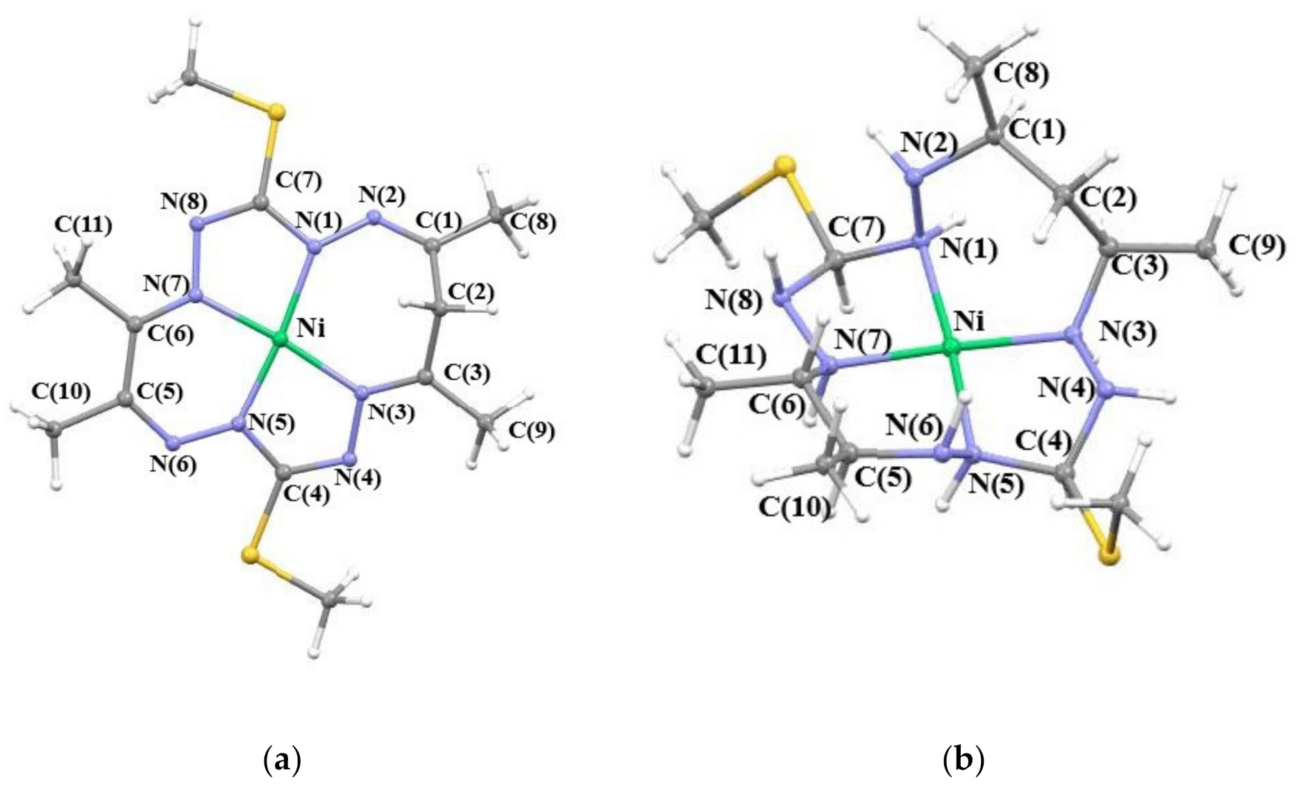 Molecules 26 04139 g001