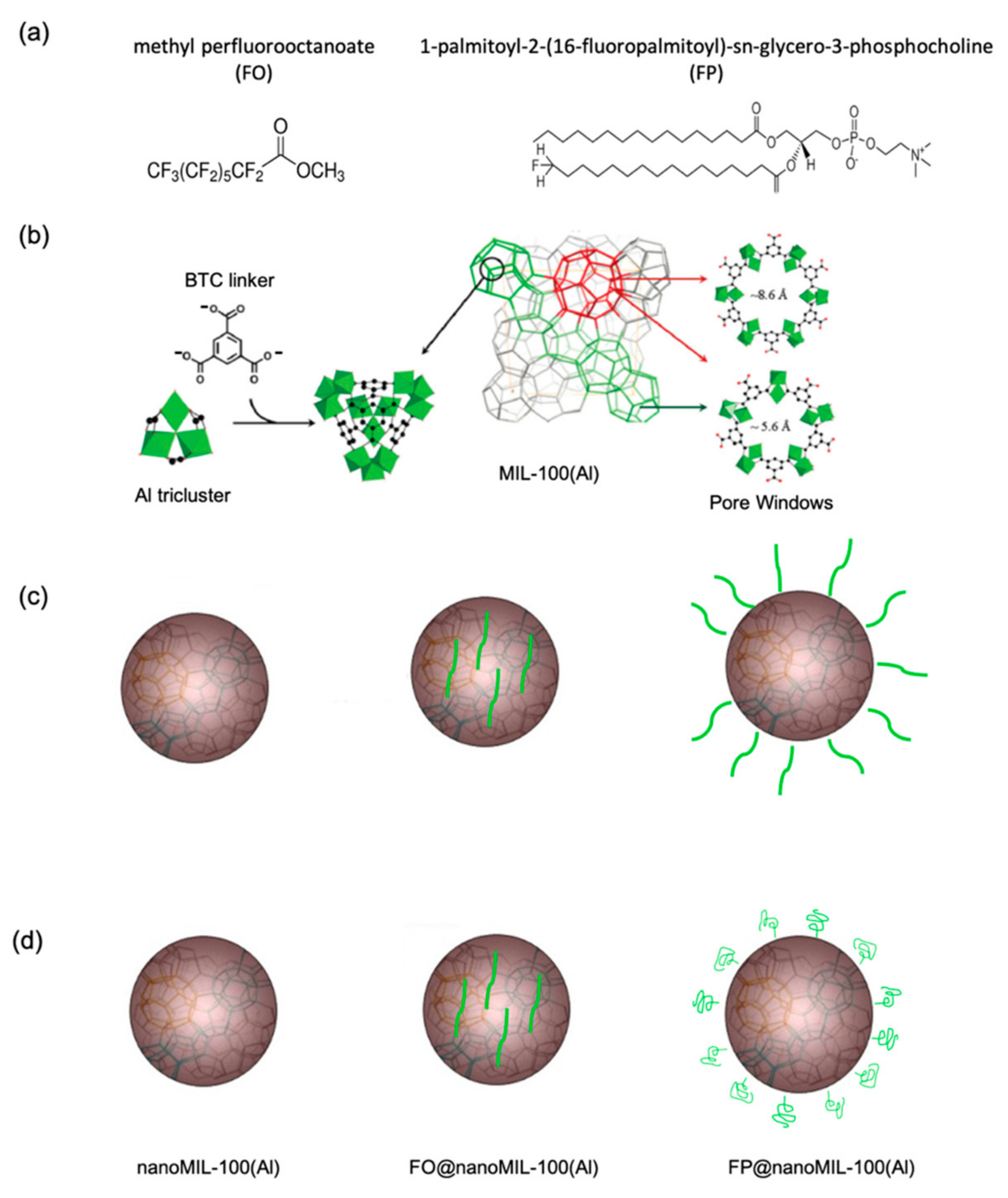 Molecules 26 04142 g011