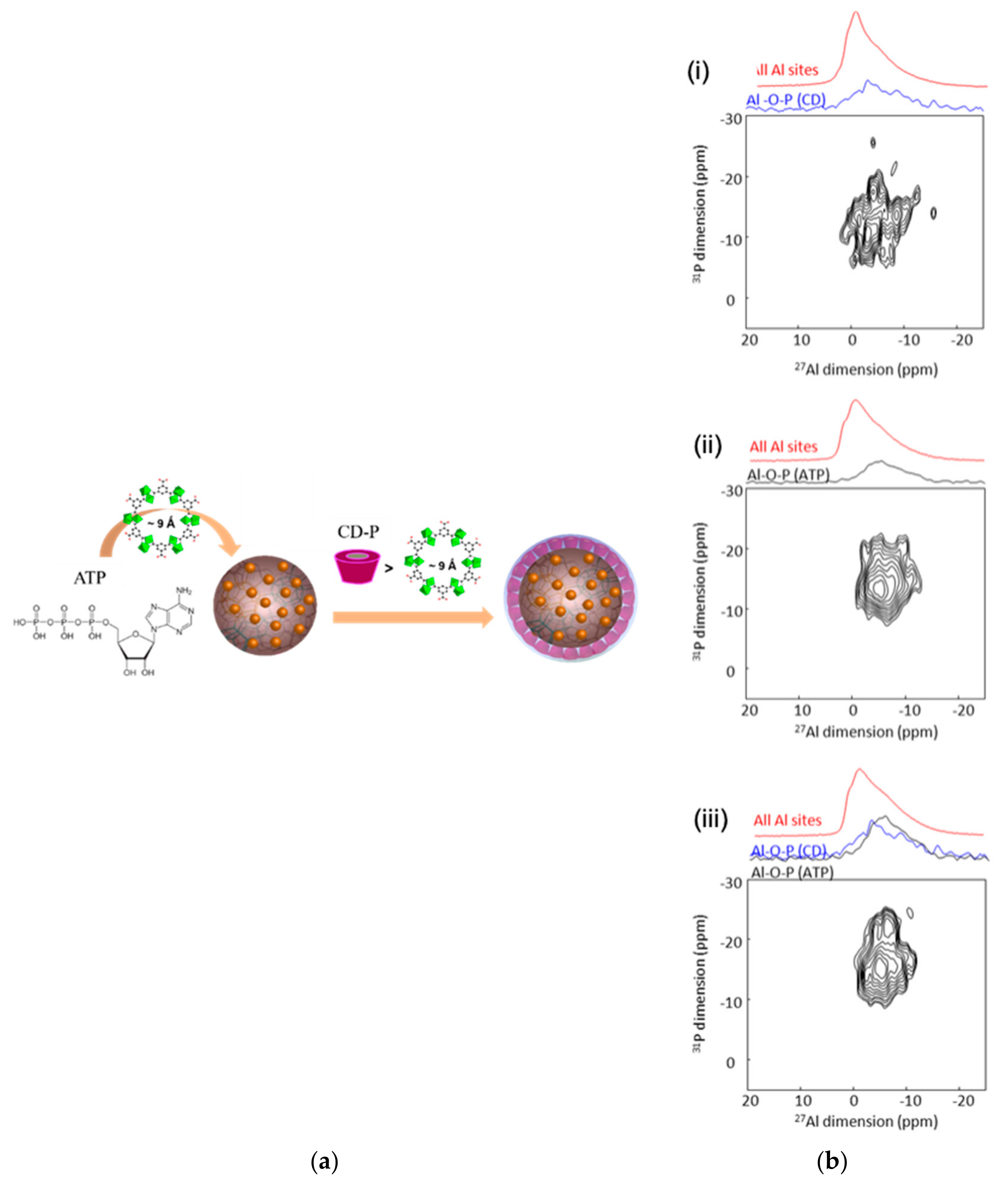 Molecules 26 04142 g014