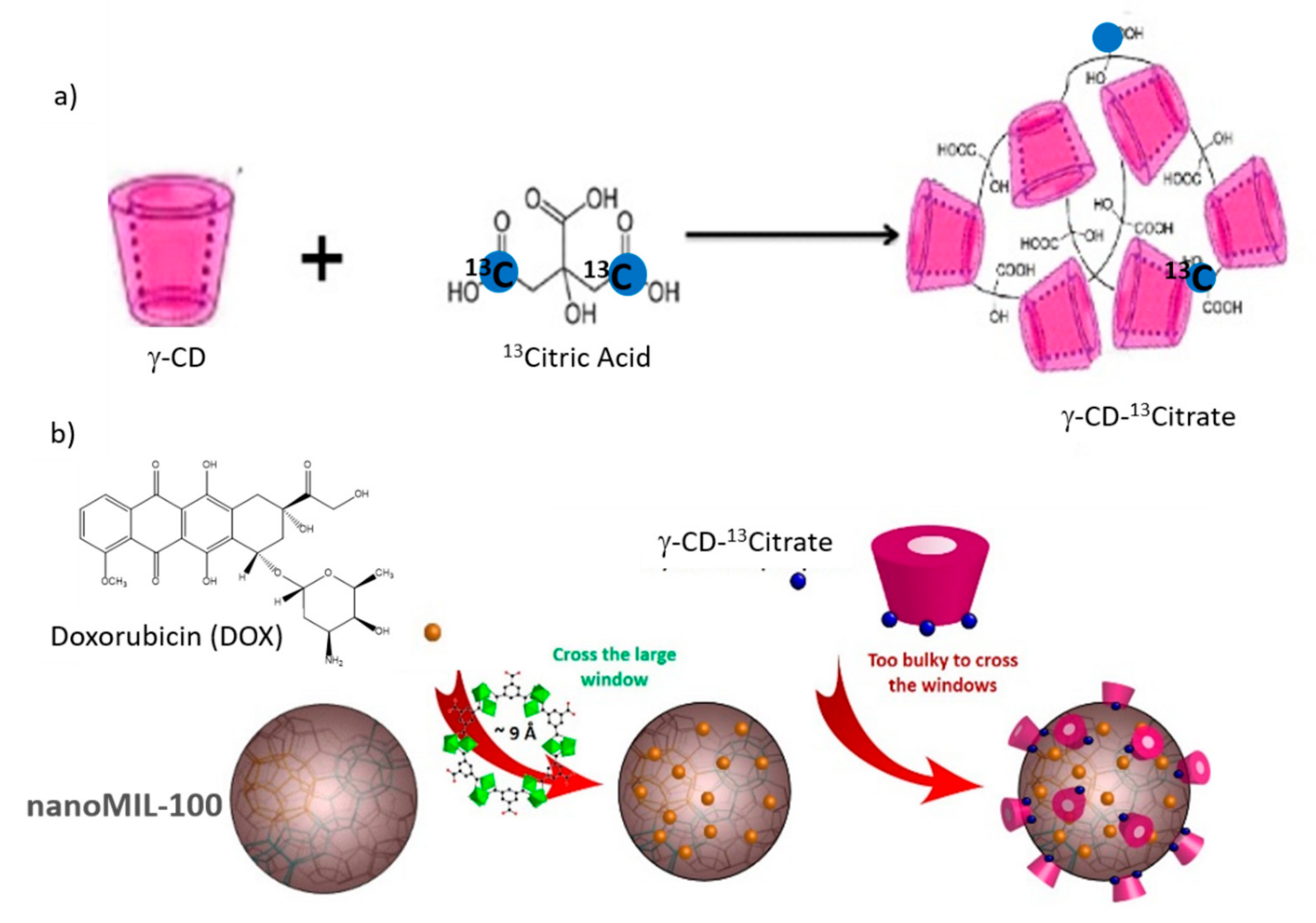 Molecules 26 04142 g015