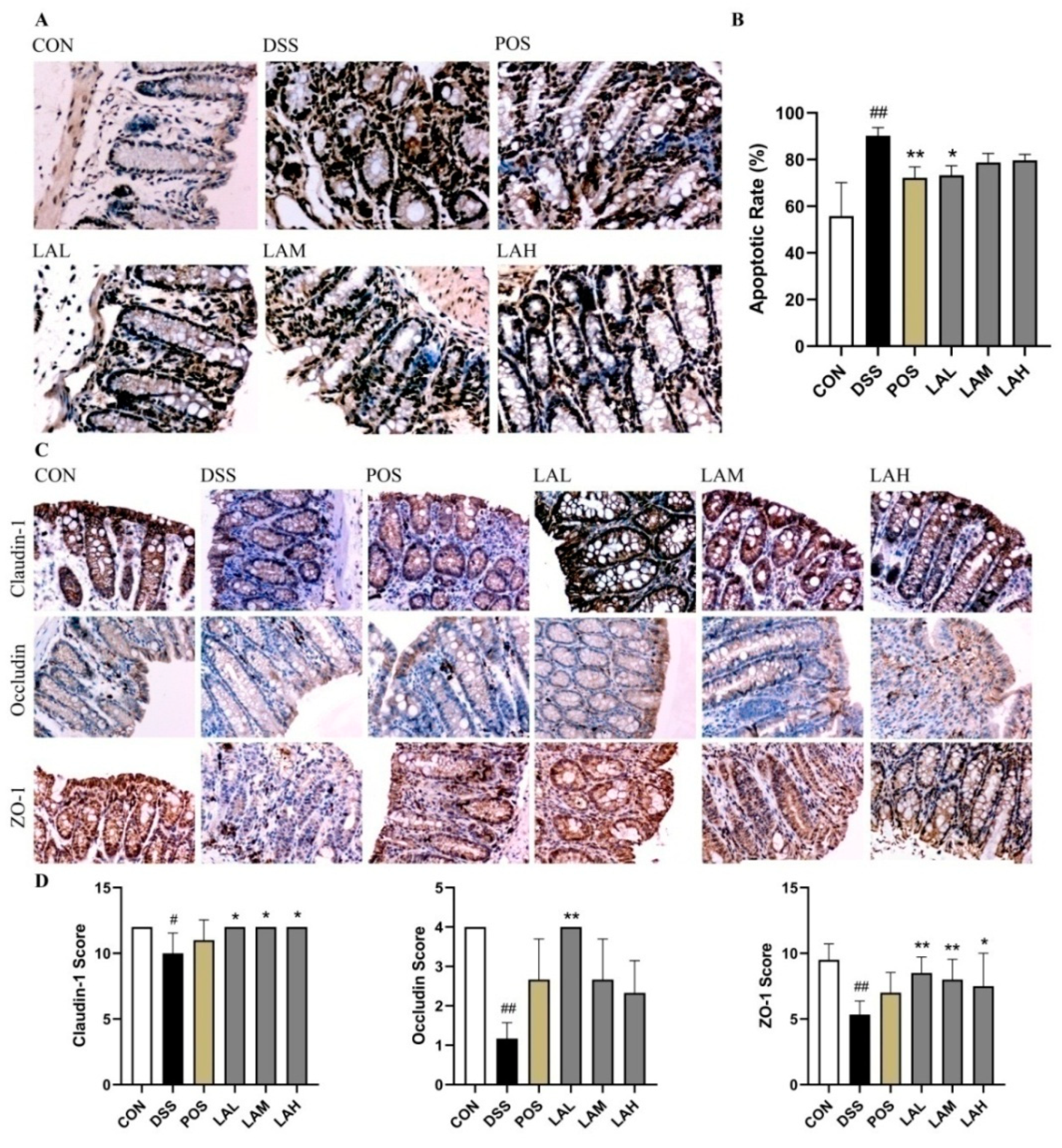 Molecules 26 04149 g002