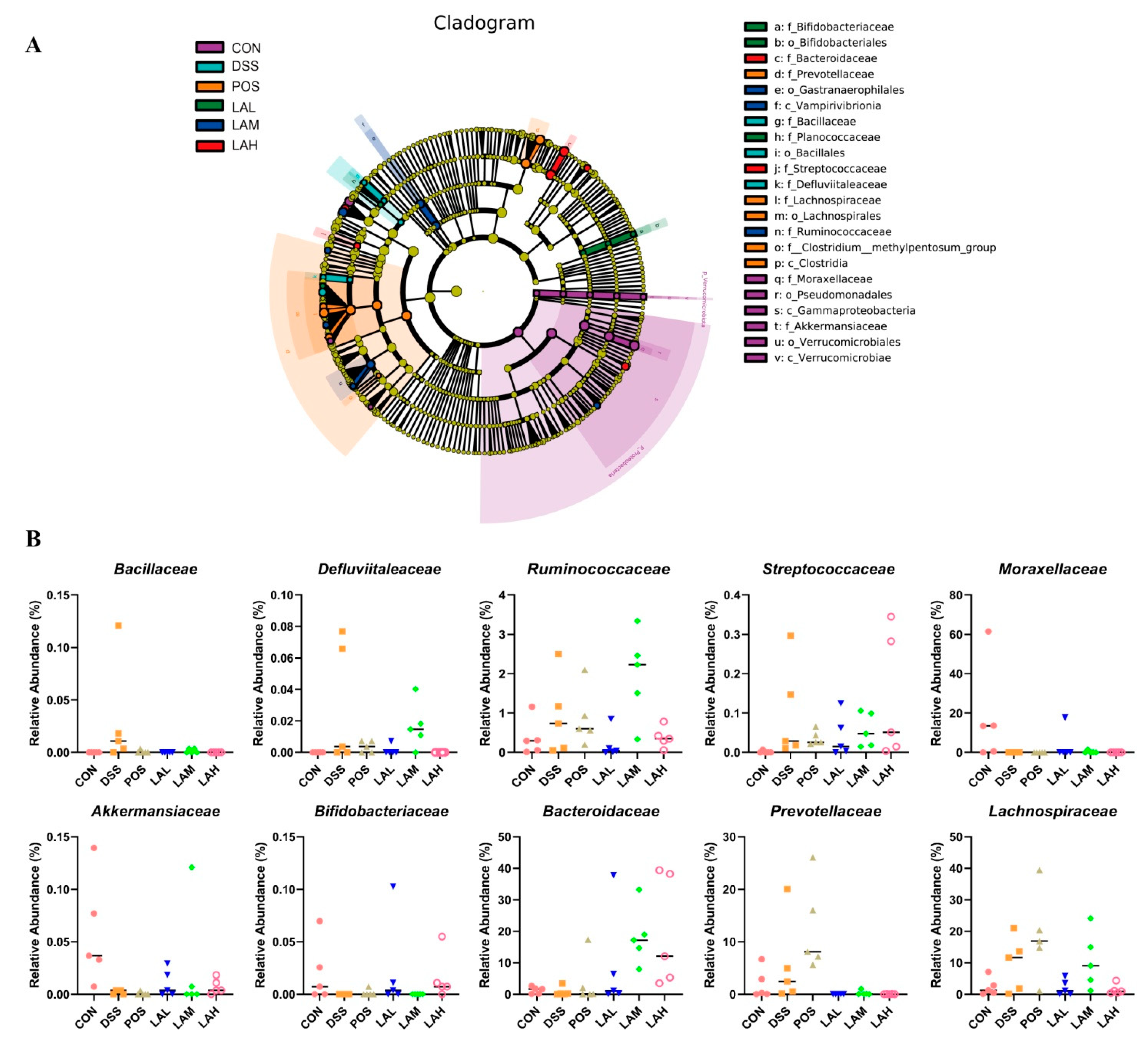 Molecules 26 04149 g004