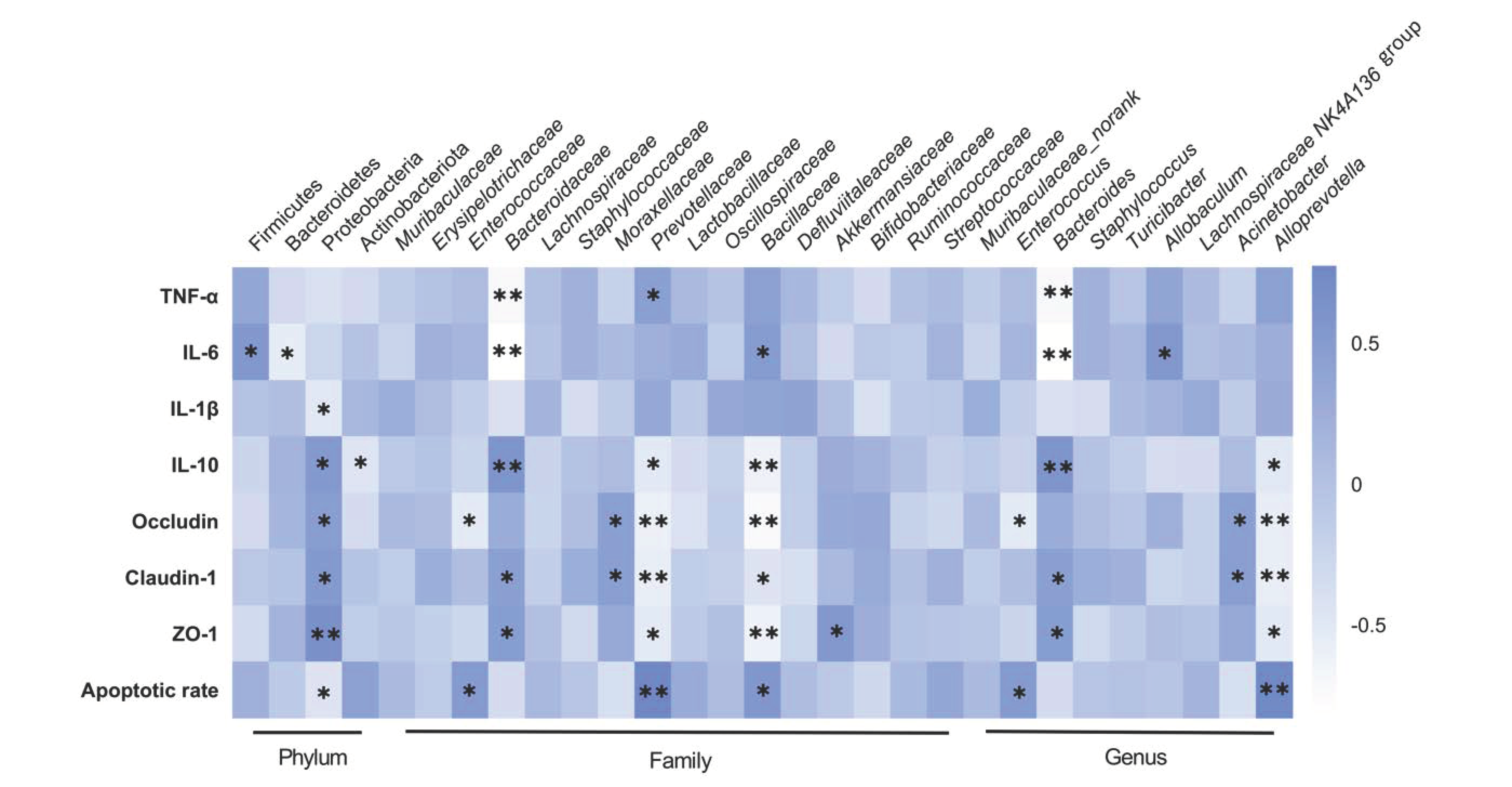 Molecules 26 04149 g005