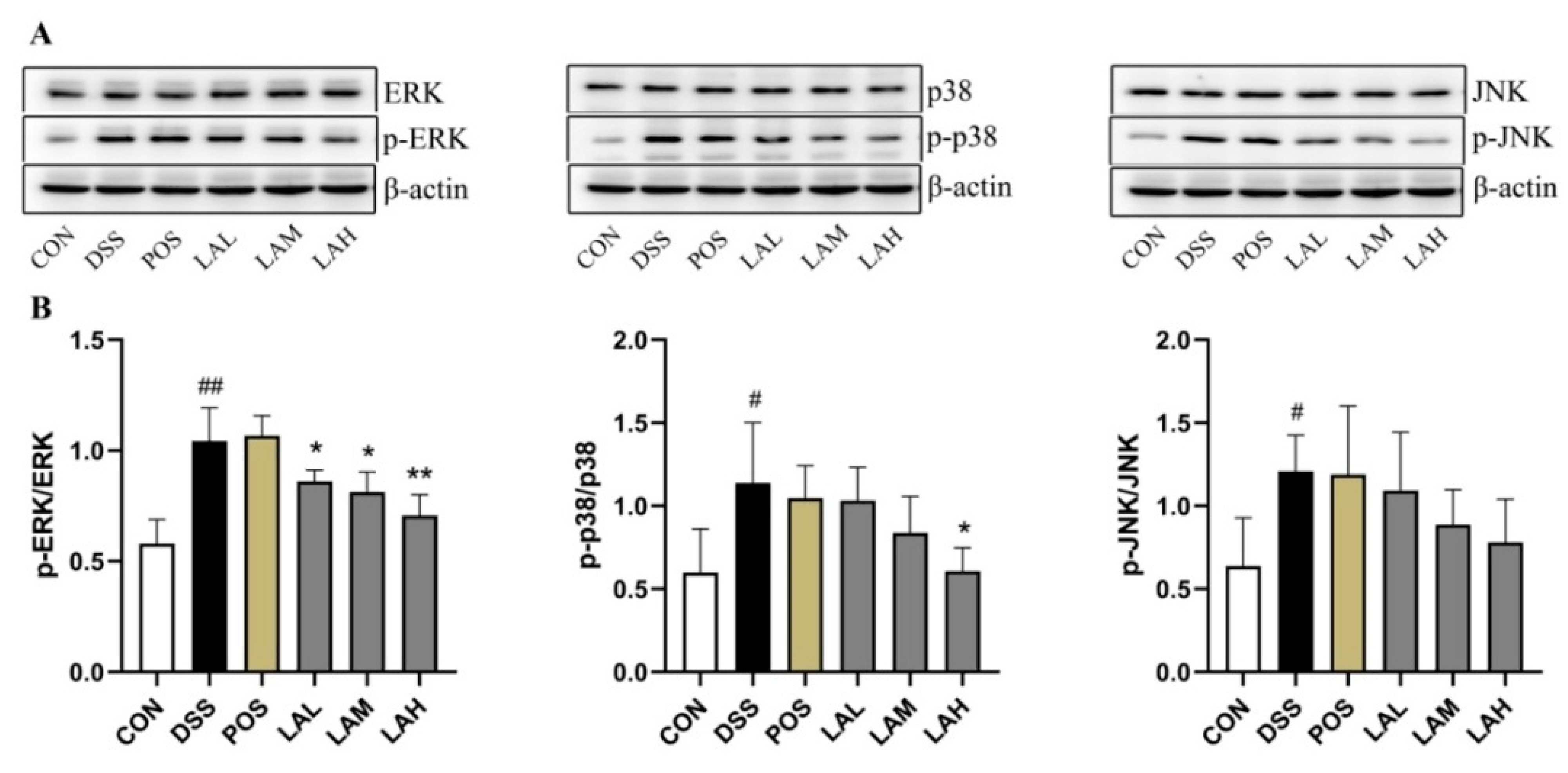 Molecules 26 04149 g006