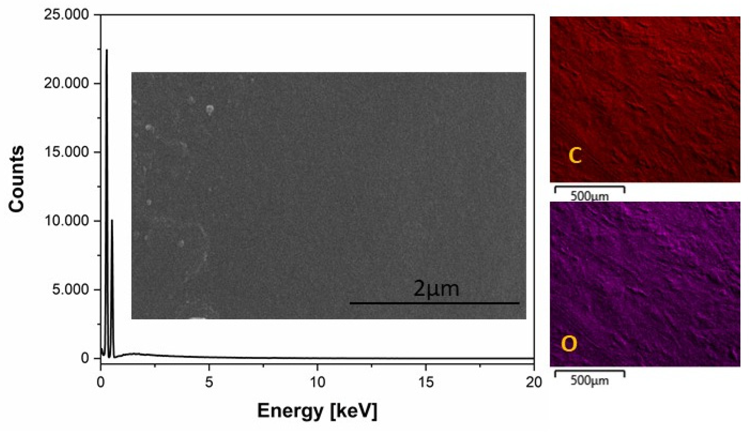 Molecules 26 04161 g007