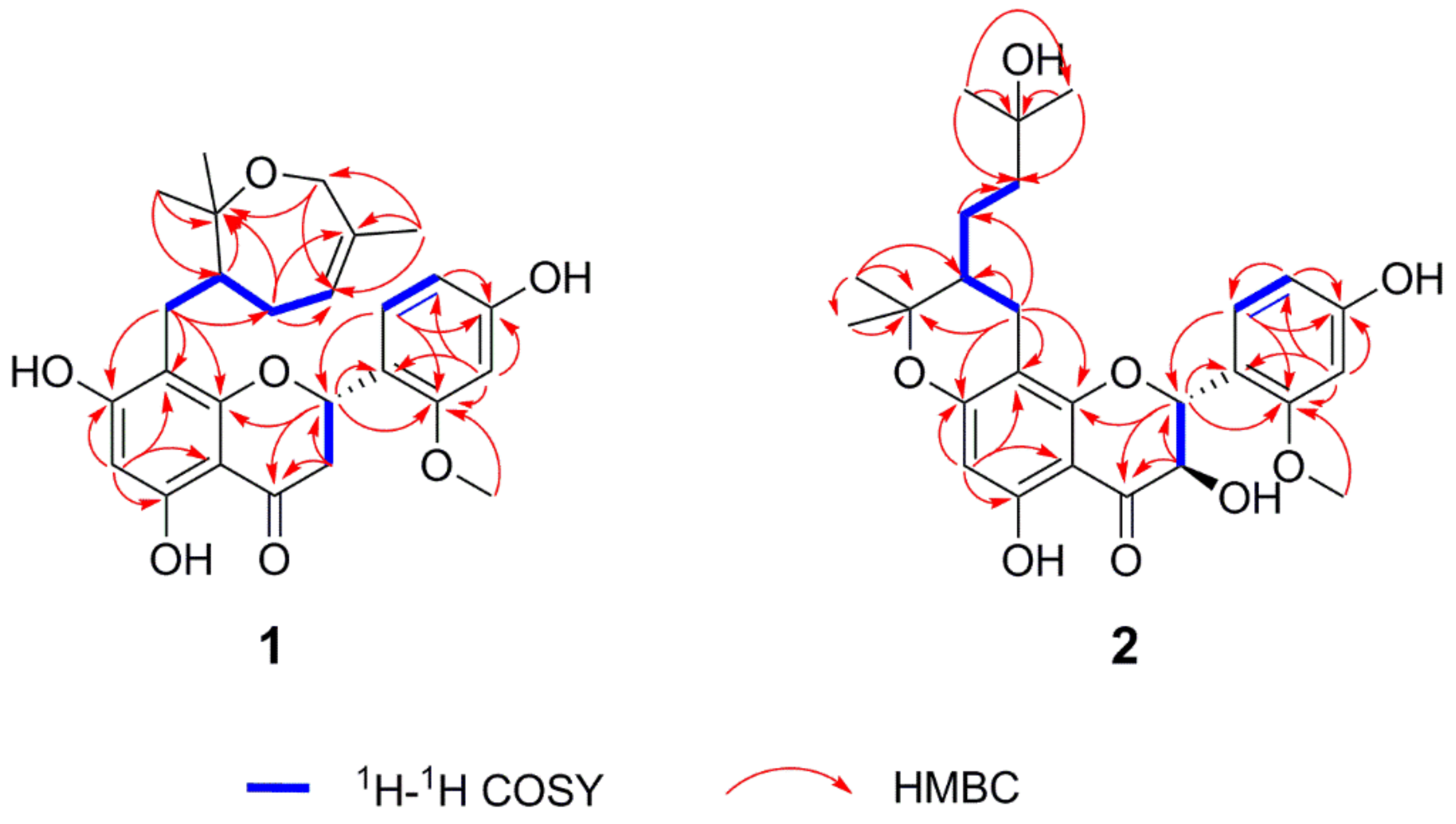 Molecules 26 04182 g002 Molecules 26 04182 g002