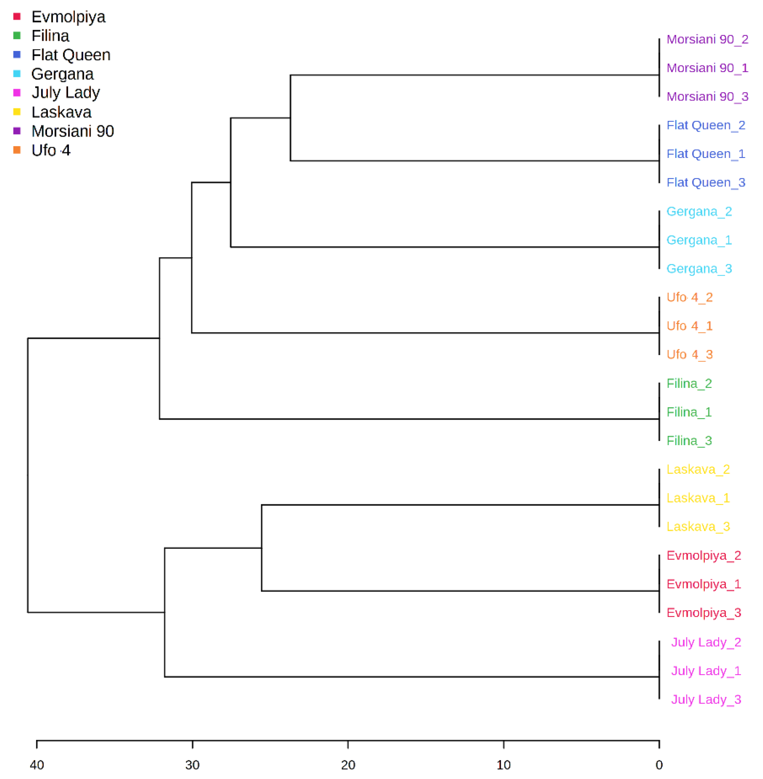 Molecules Free Full Text Gc Ms Metabolic Profile And A Glucosidase A Amylase Lipase And Acetylcholinesterase Inhibitory Activities Of Eight Peach Varieties Html