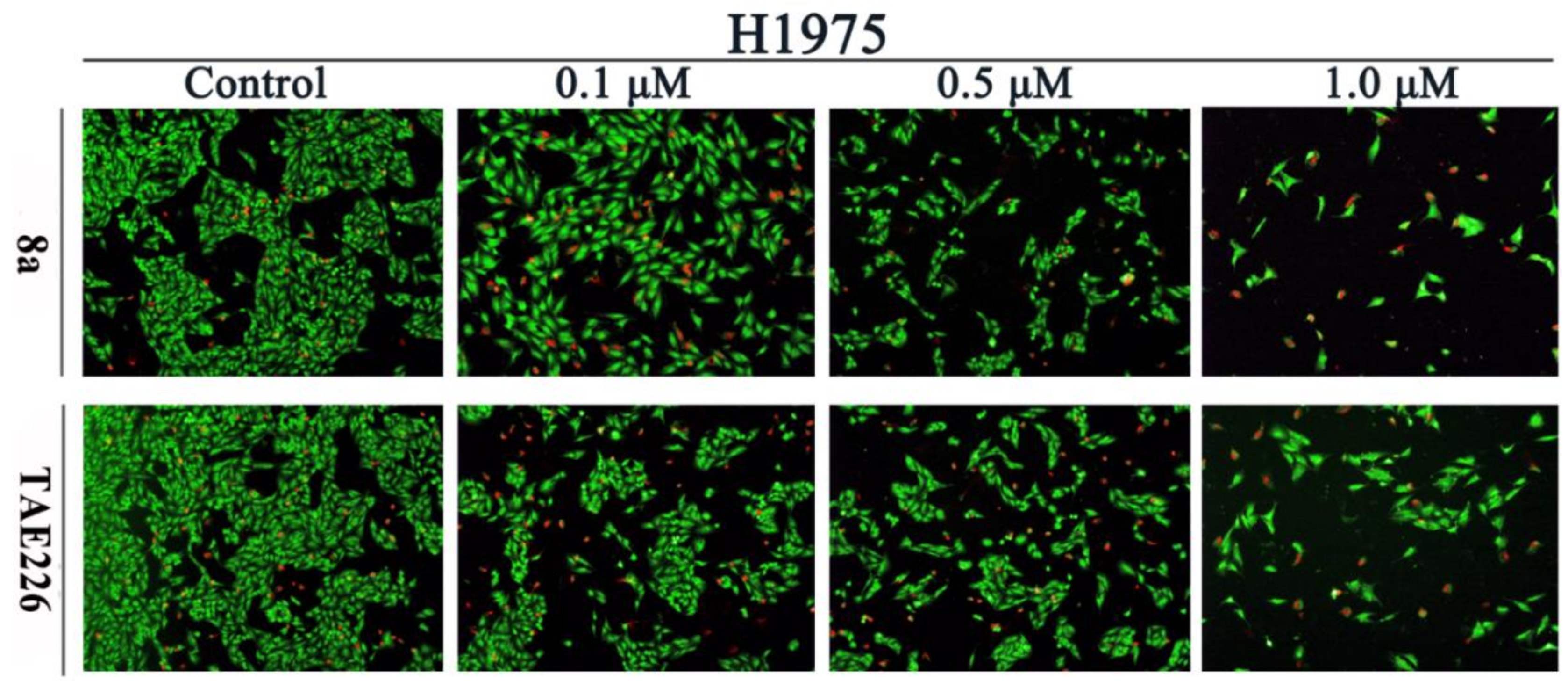 Molecules 26 04187 g004