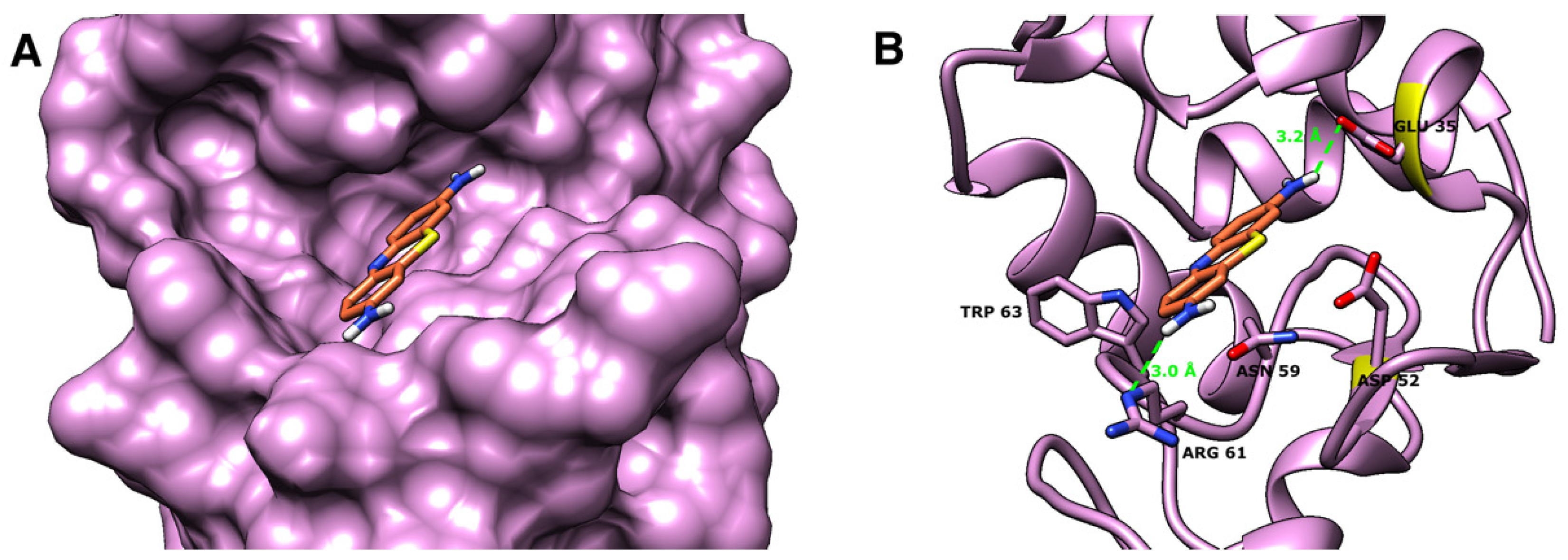 Molecules 26 04189 g008